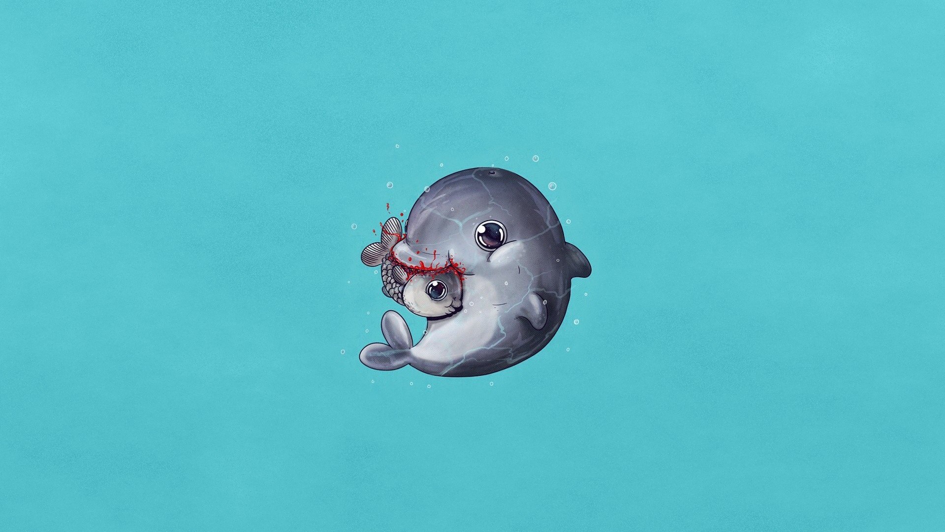 Dolphin Fish Humor 1920x1080