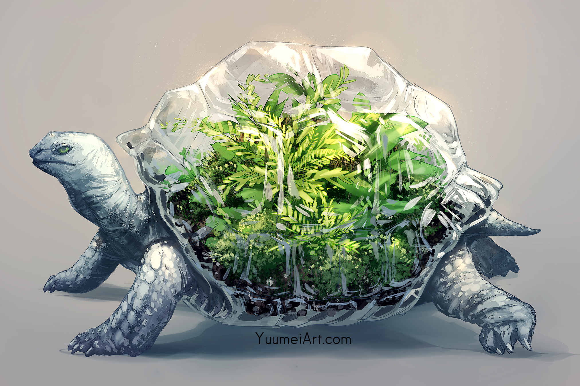 Turtle Animals Nature Digital Art Yuumei 2025x1350