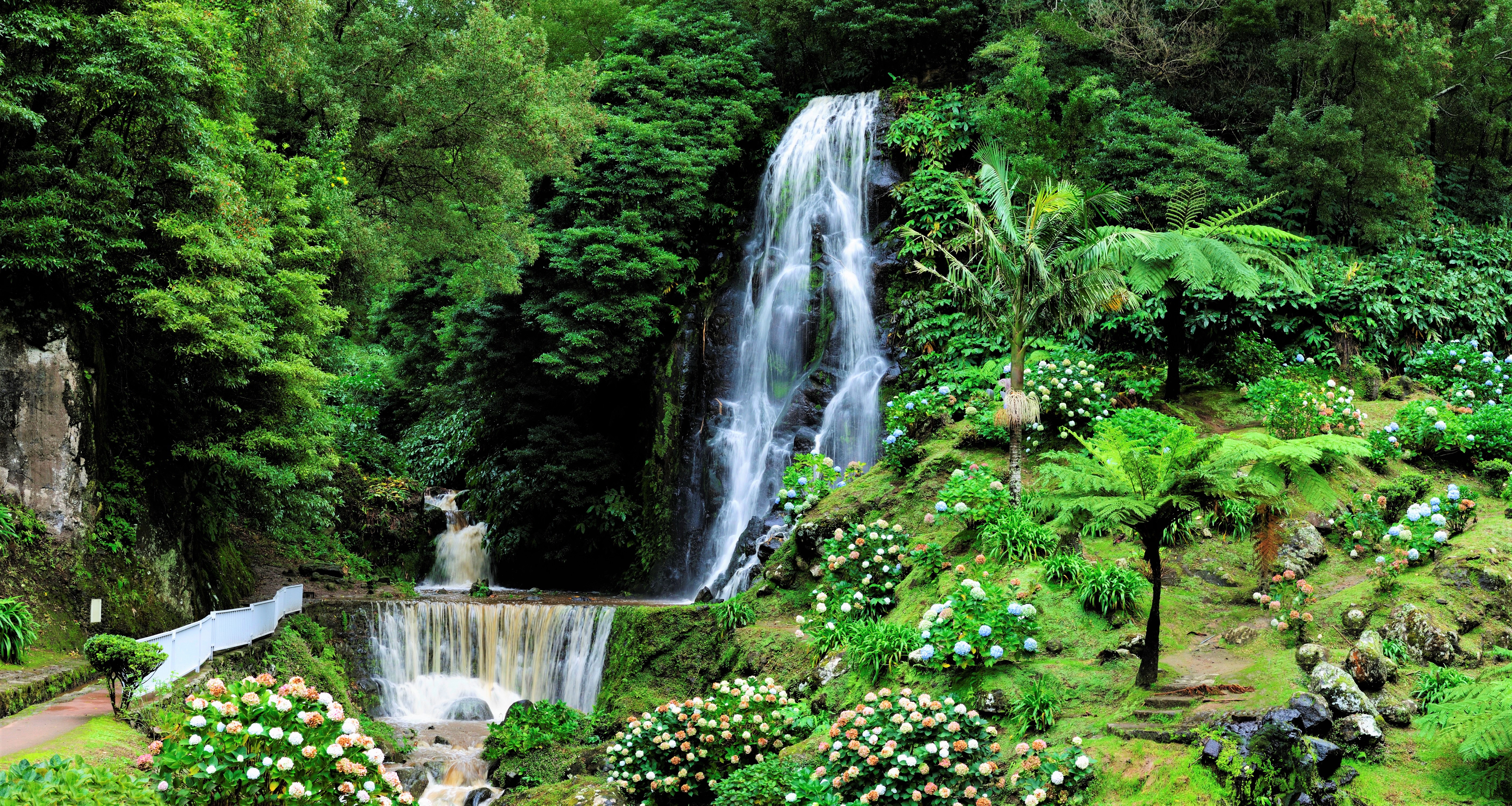 Earth Flower Garden Park Portugal Spring Waterfall 5625x3000