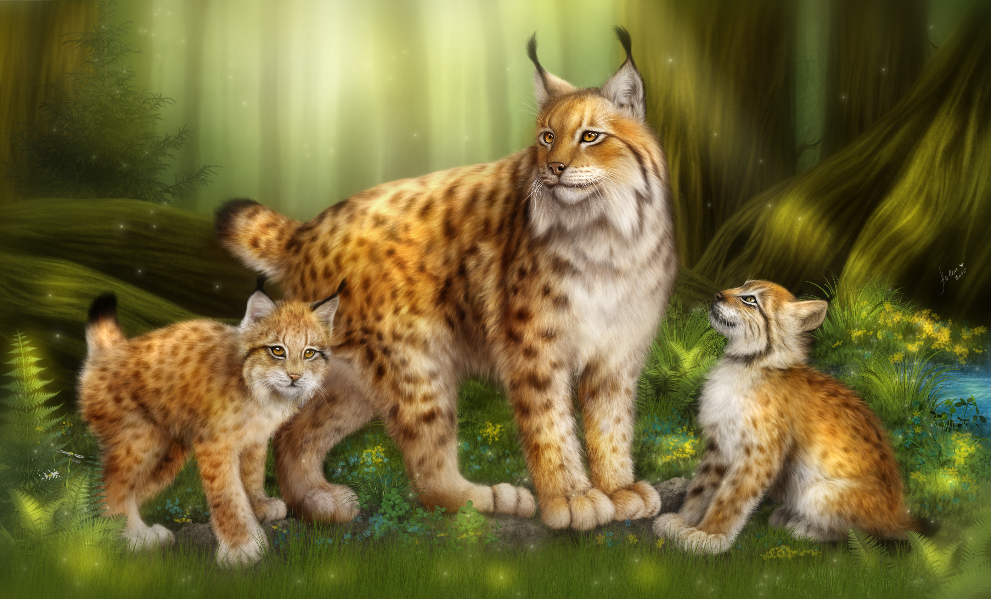 Lynx Big Cats Forest 3149x1905