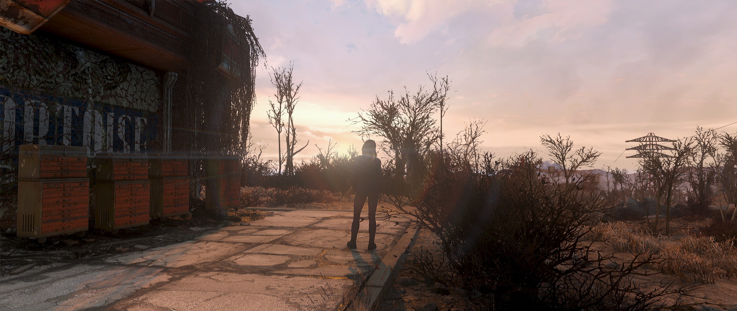Fallout 4 2560x1080 настройка фото 112