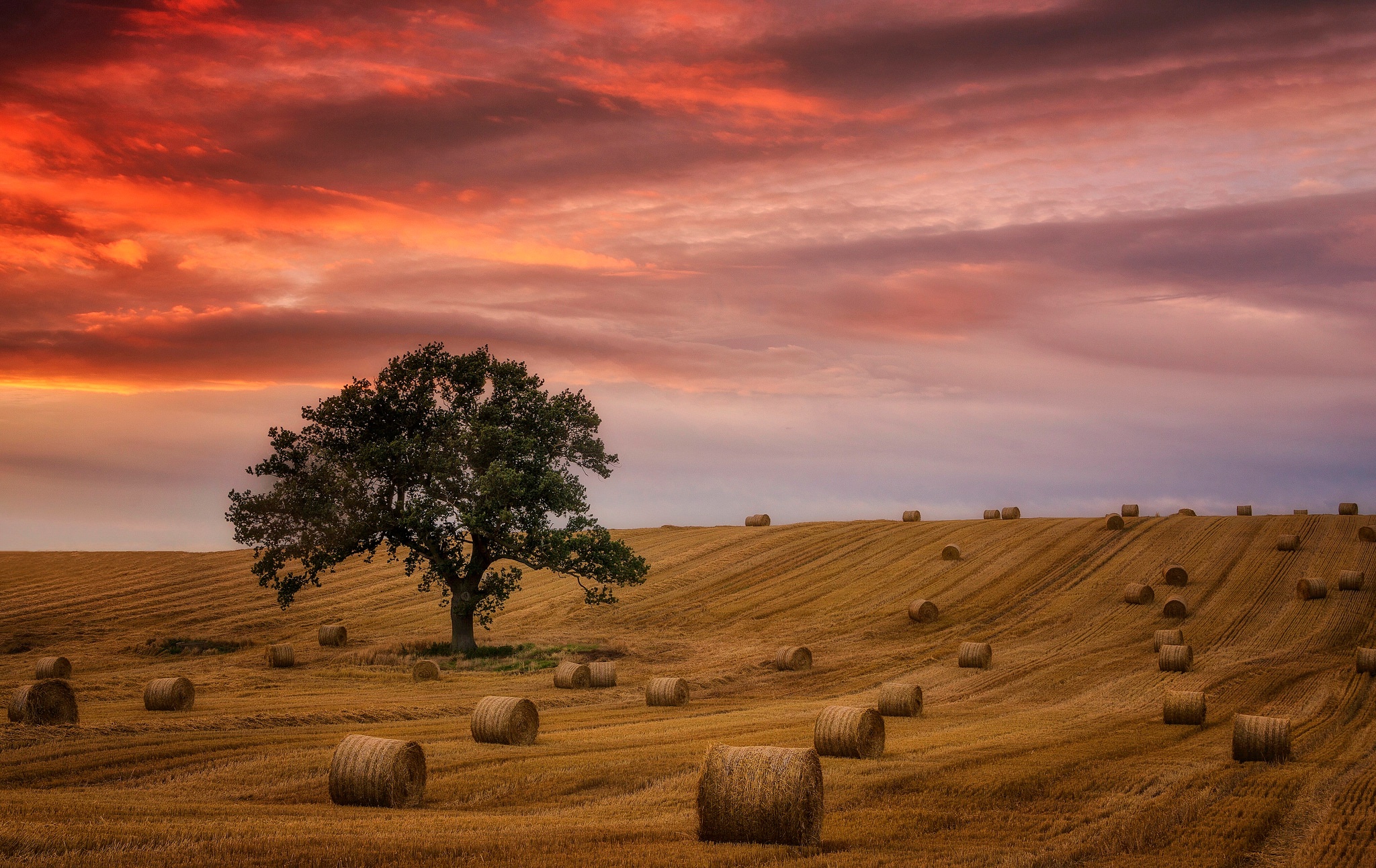 Cloud Field Haystack Lonely Tree Nature Summer Sunset Tree 2048x1293