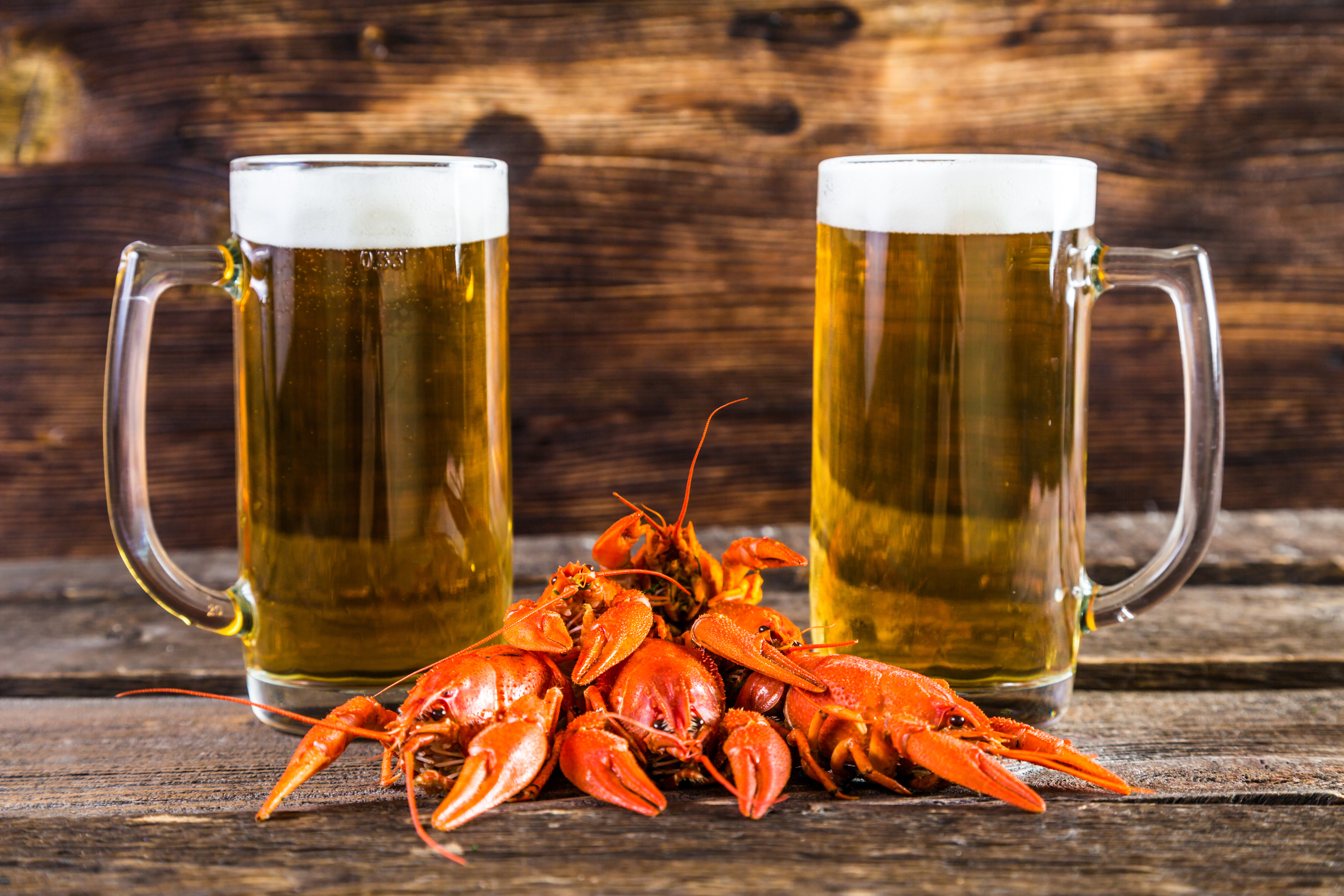 Alcohol Beer Crayfish Drink Glass 4800x3200