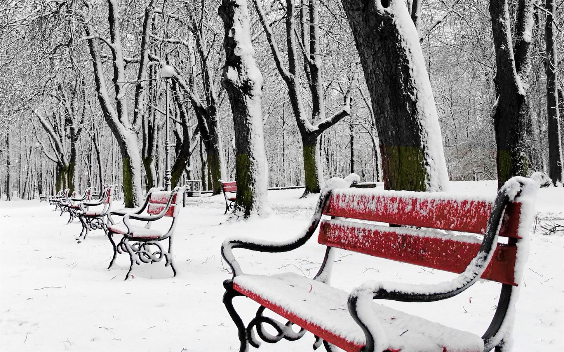 Bench Park Red Snow Tree Winter 1920x1200