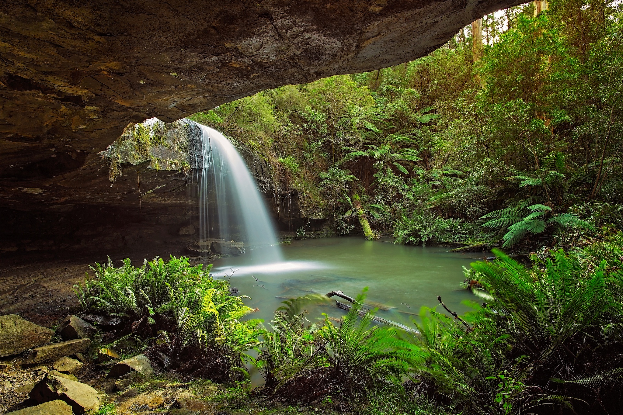 Australia Fern Greenery Nature Waterfall 2048x1365