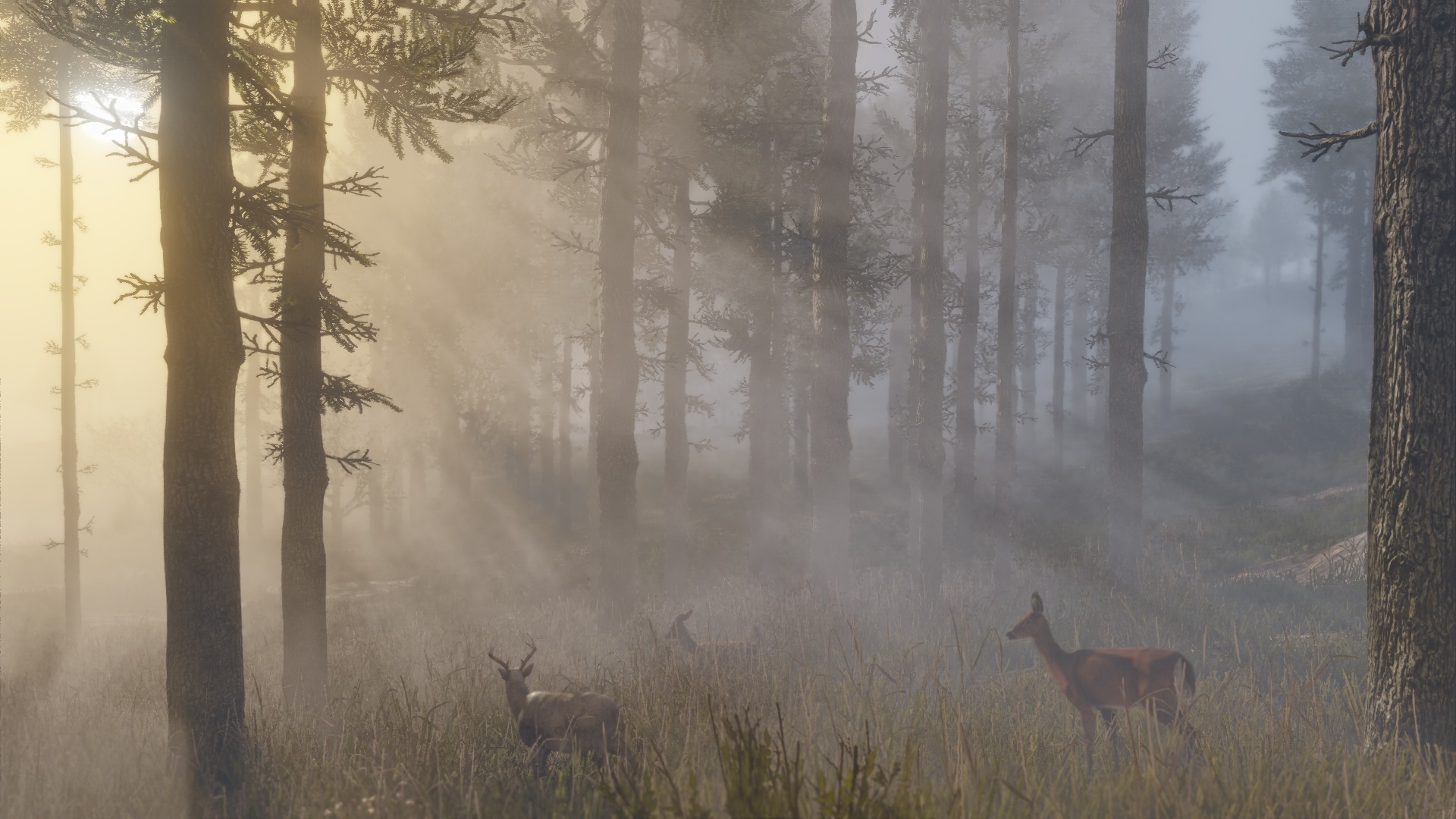 Animal Forest Red Dead Red Dead Redemption Red Dead Redemption 2 1920x1080