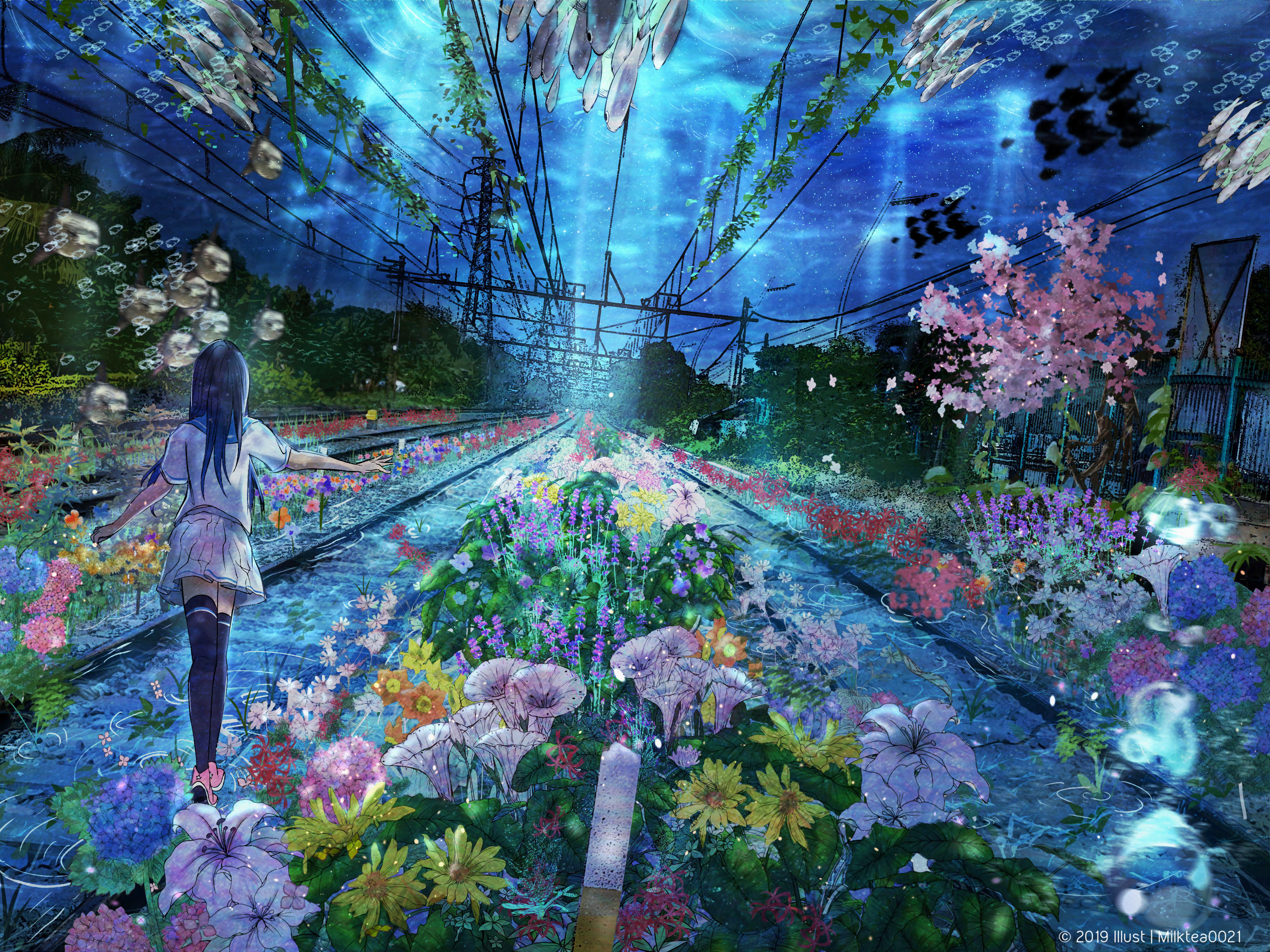 Fantasy Flower Sea Underwater 4000x3000