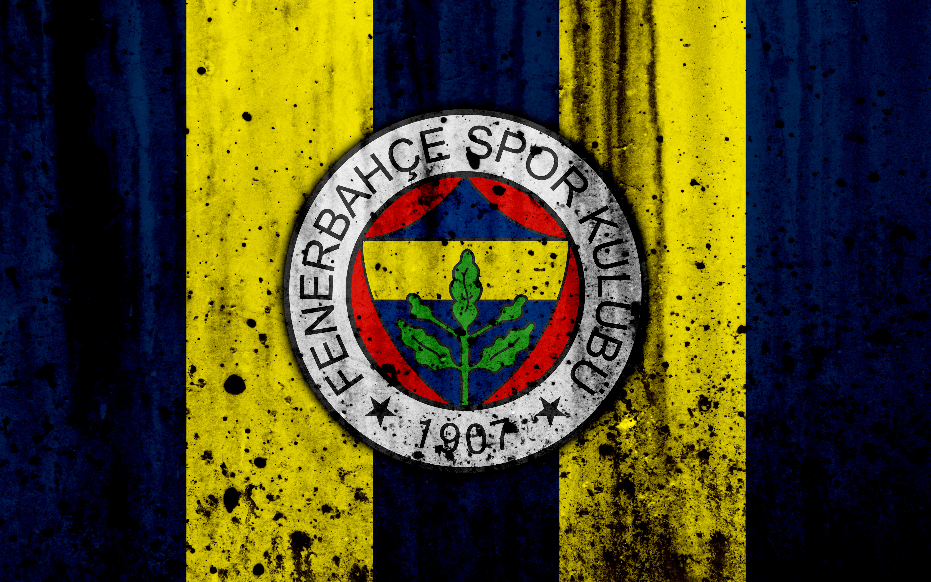 Emblem Fenerbahce S K Logo Soccer 3840x2400