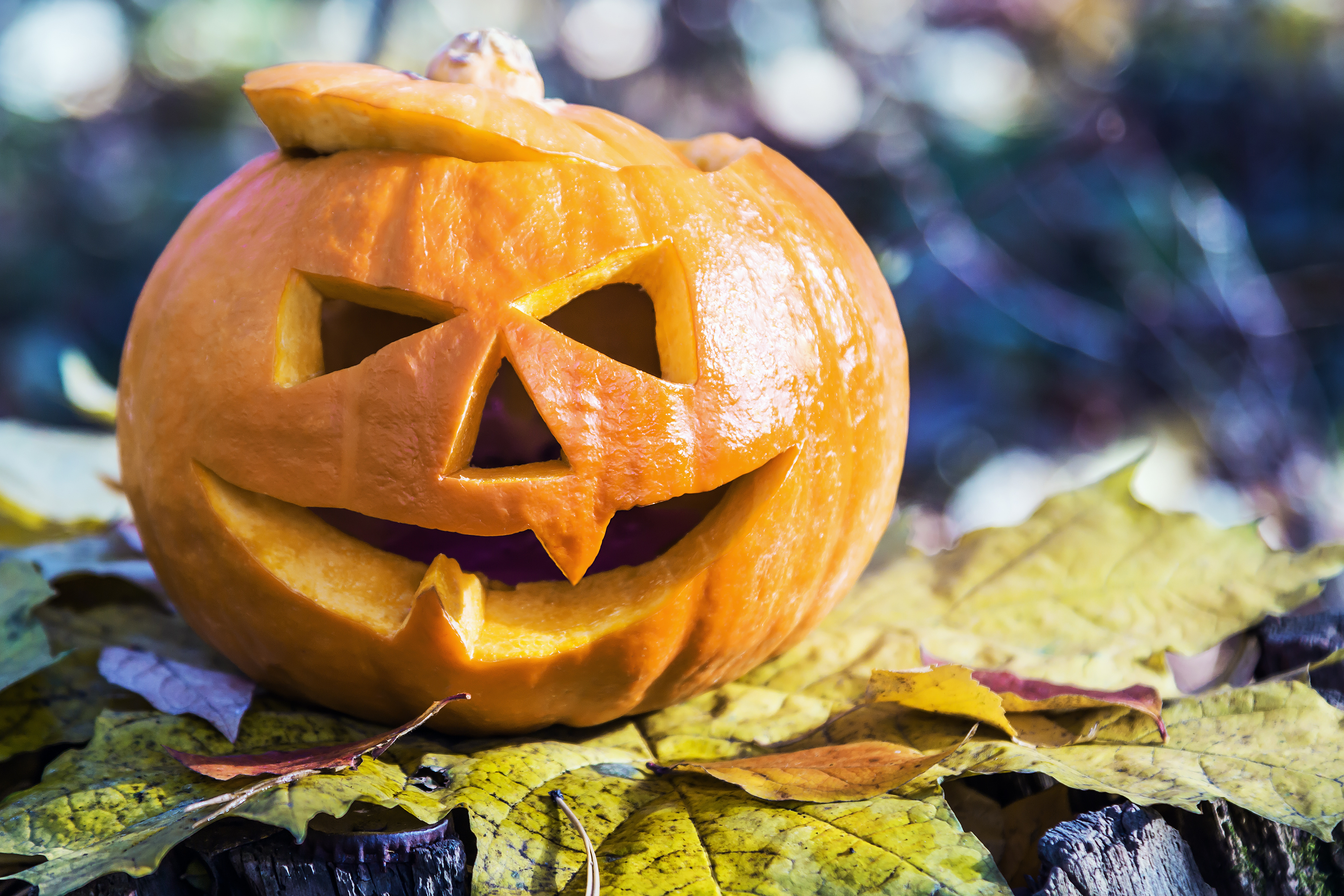 Halloween Jack O 039 Lantern Pumpkin 3672x2448