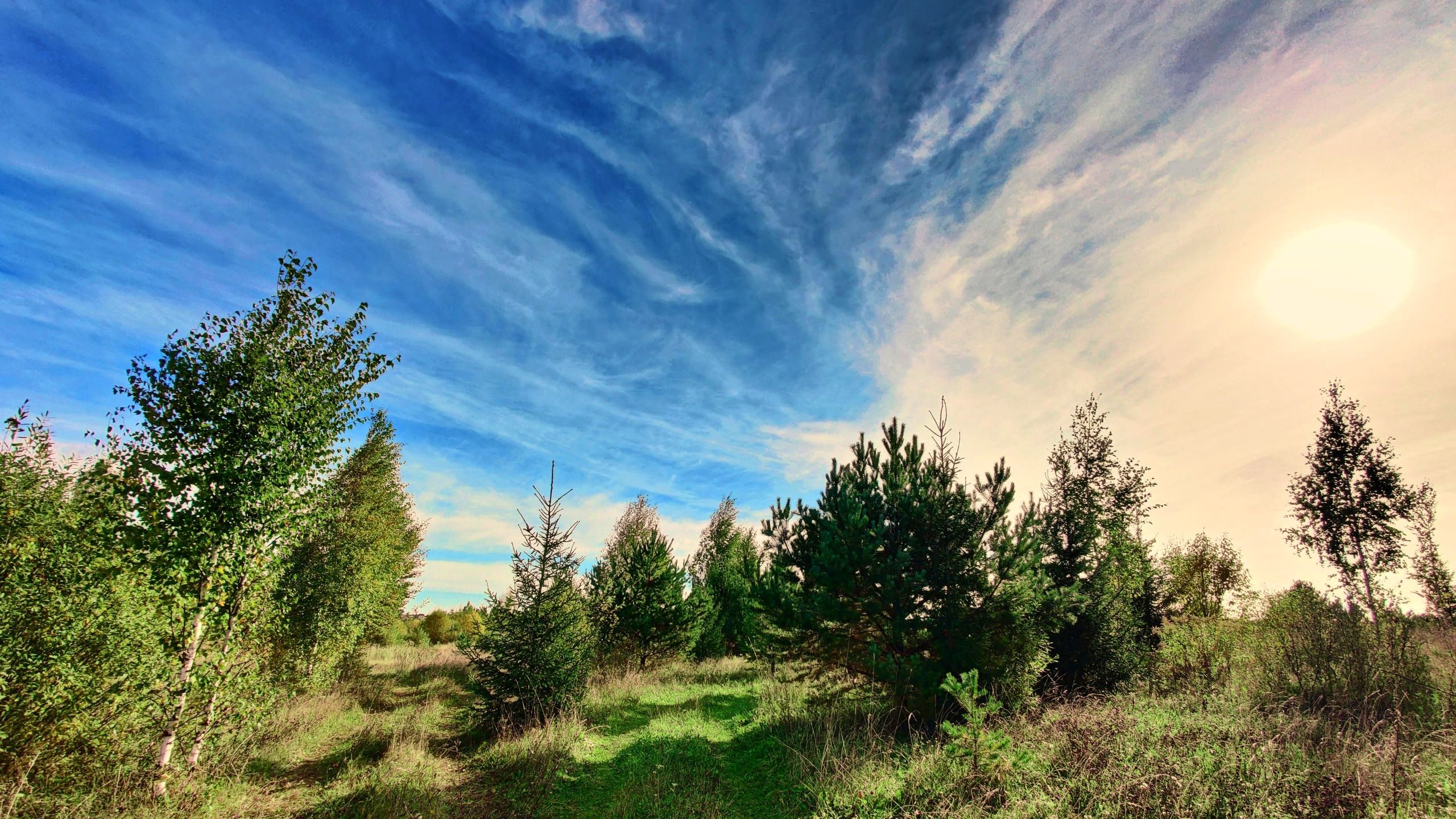 Landscape Morning Sky Outdoors Trees Grass Panorama Wide Angle Clouds 2560x1440