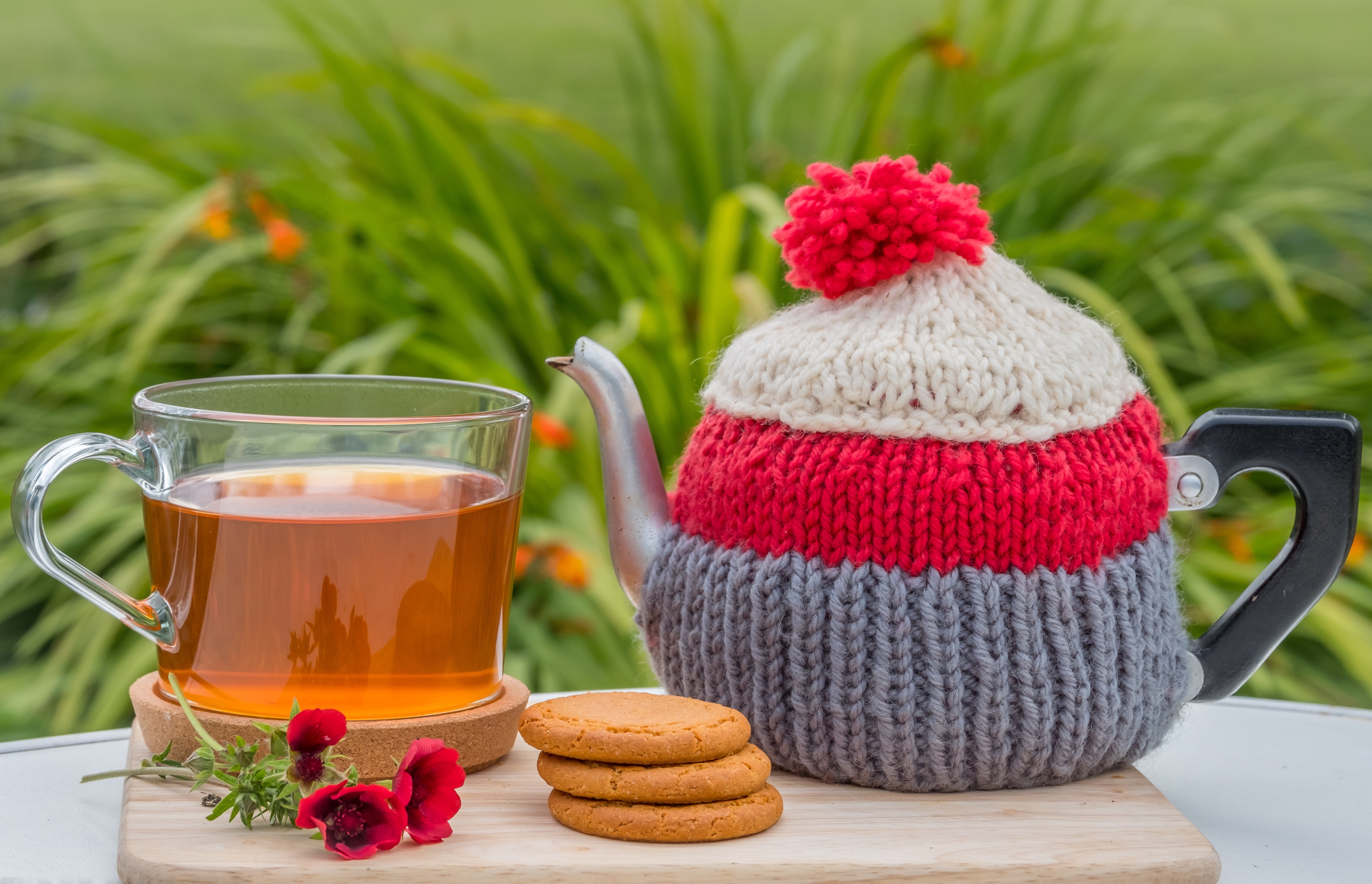Cookie Glass Tea Teapot 3600x2321