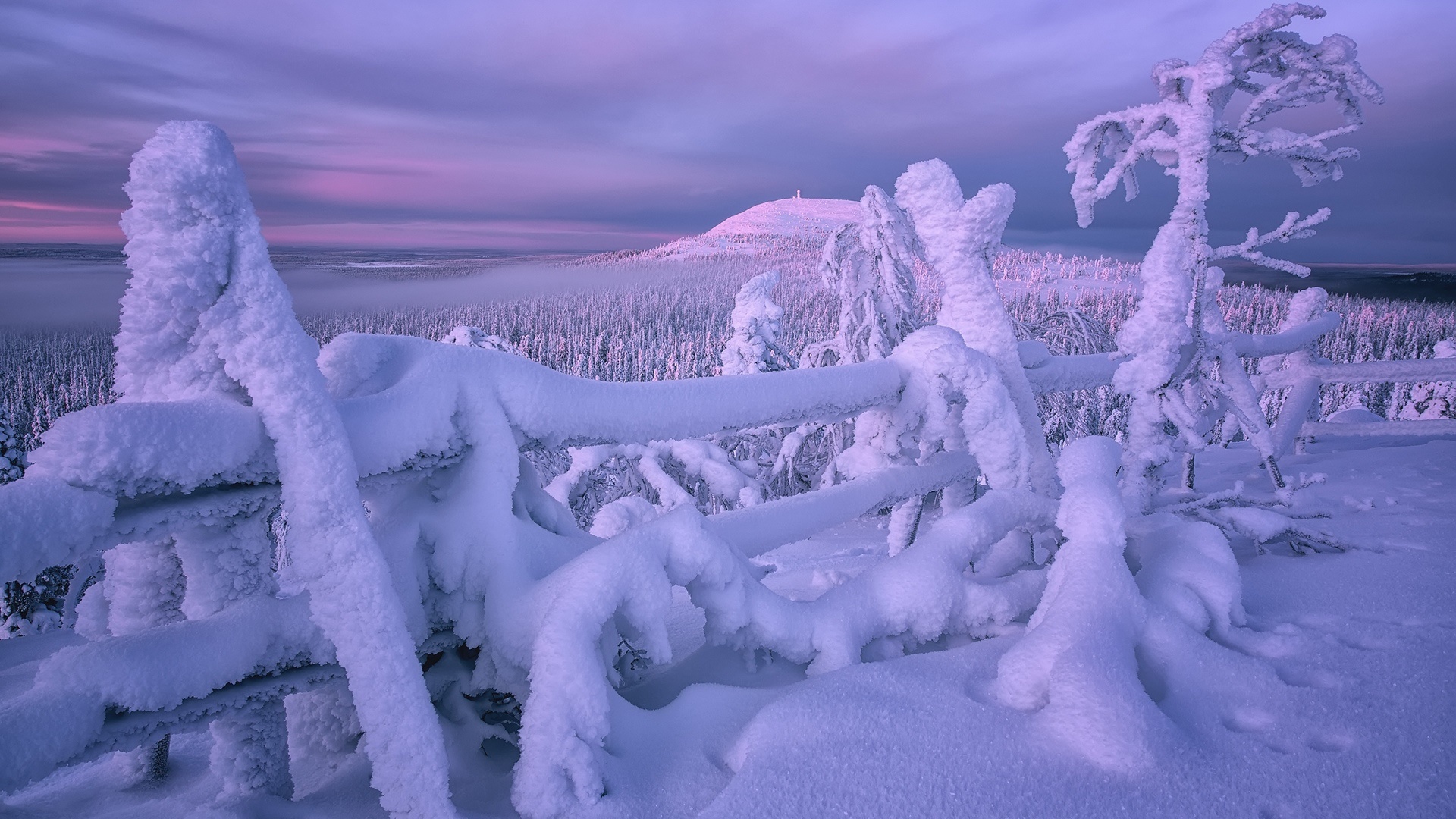 Earth Fence Finland Snow Winter 1920x1080