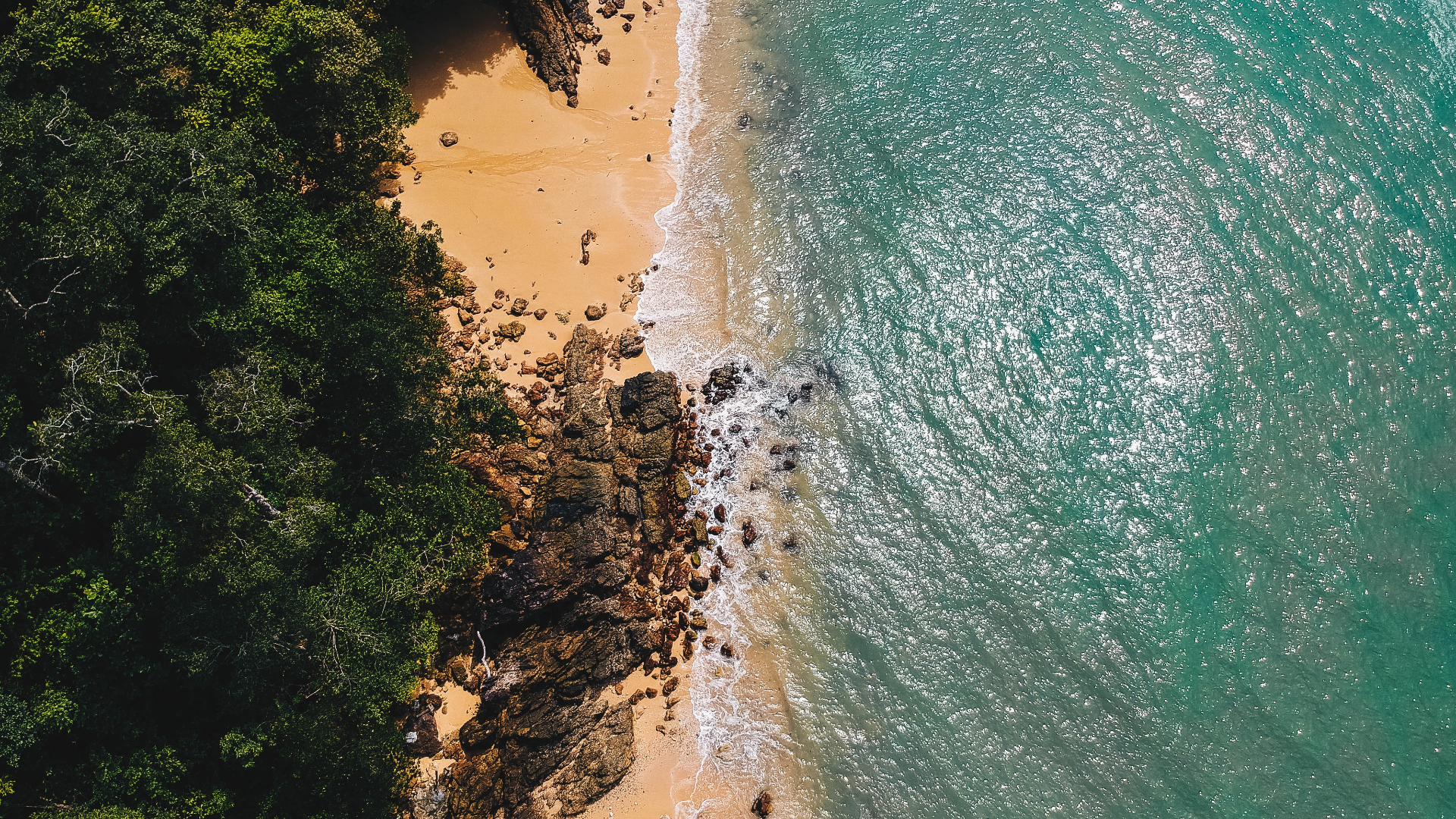 Nature Trees Forest Rocks Waves Water Sand Beach Aerial Drone Photo 1920x1080