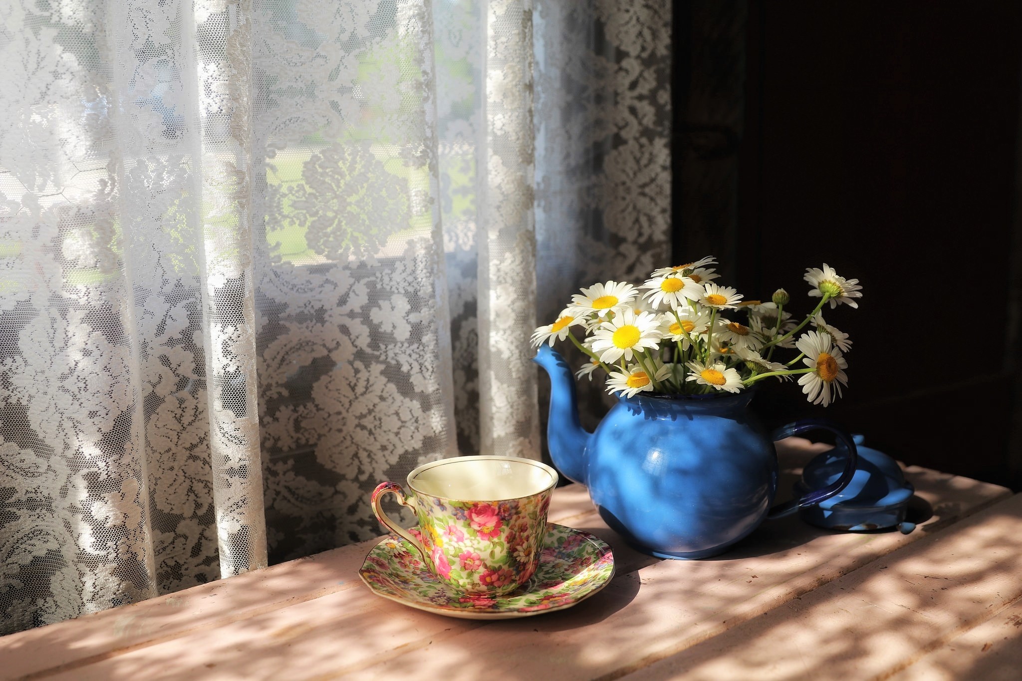 Cup Curtain Daisy Flower Saucer Still Life Teapot White Flower 2048x1365