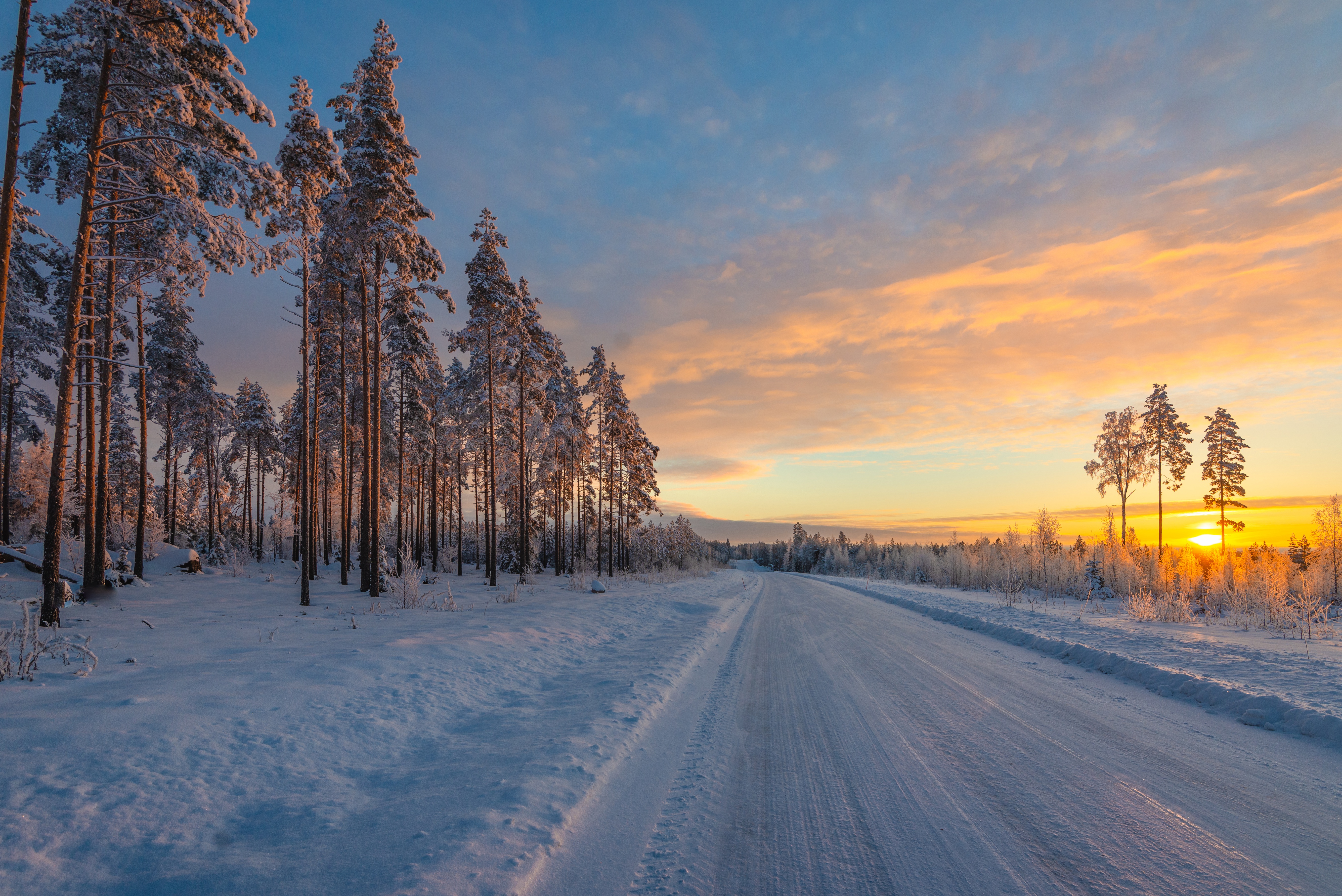 Finland Winter Snow Trees Sunset Road Sky Clouds Pine Trees Nature Landscape 5337x3563