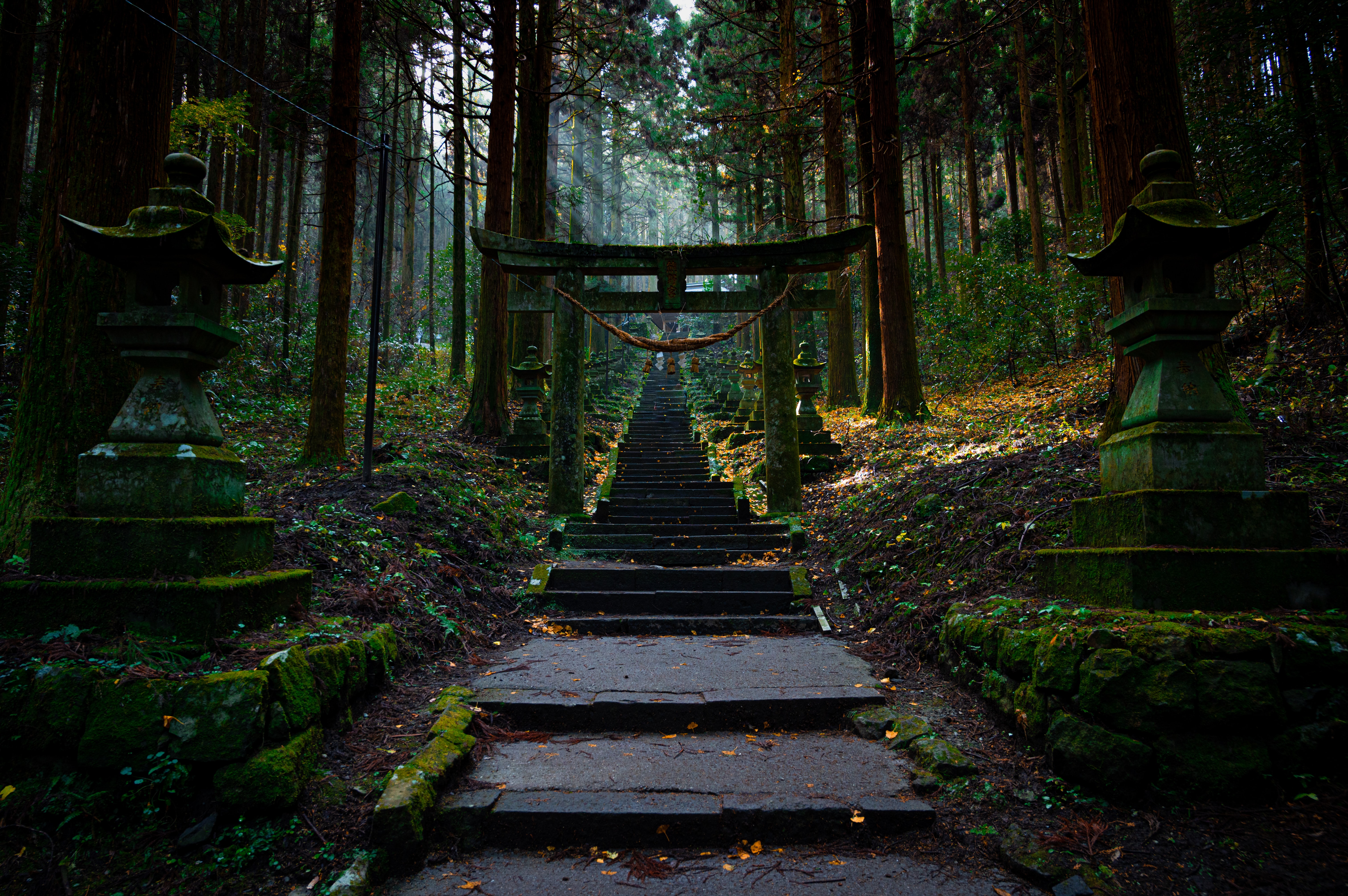 Nature Torii Japan Shinto Rock Stairs Forest 6048x4024