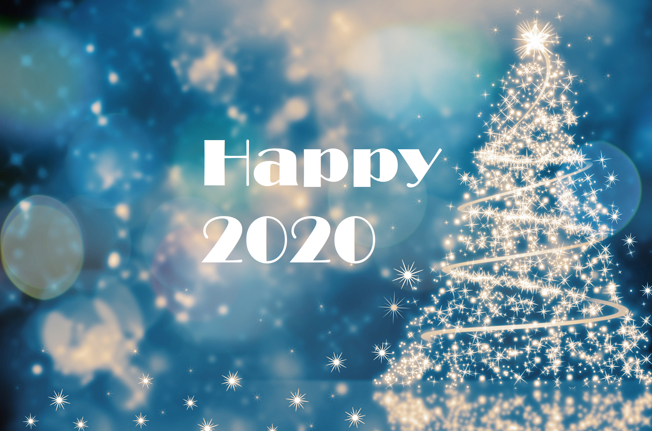 Christmas Tree Happy New Year New Year 2020 2560x1695