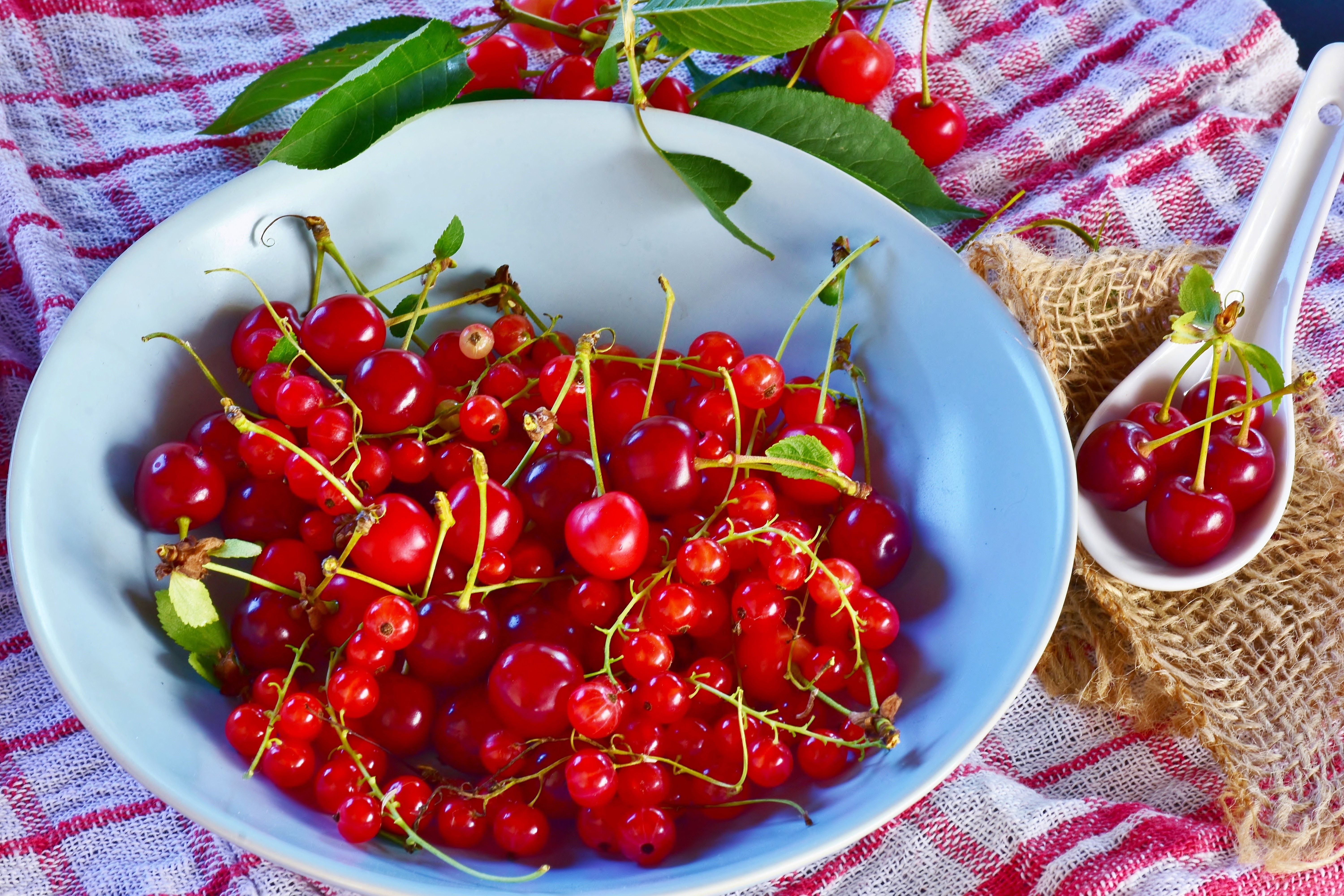 Cherry Currants Fruit Still Life 6000x4000