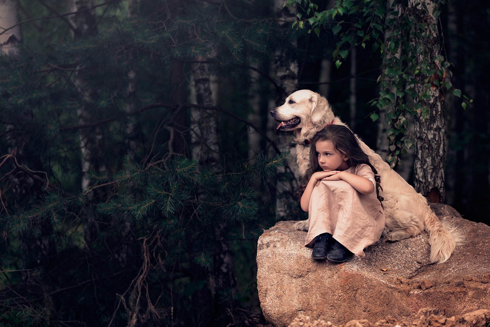 Dog Girl Labrador Retriever Little Girl 2048x1365