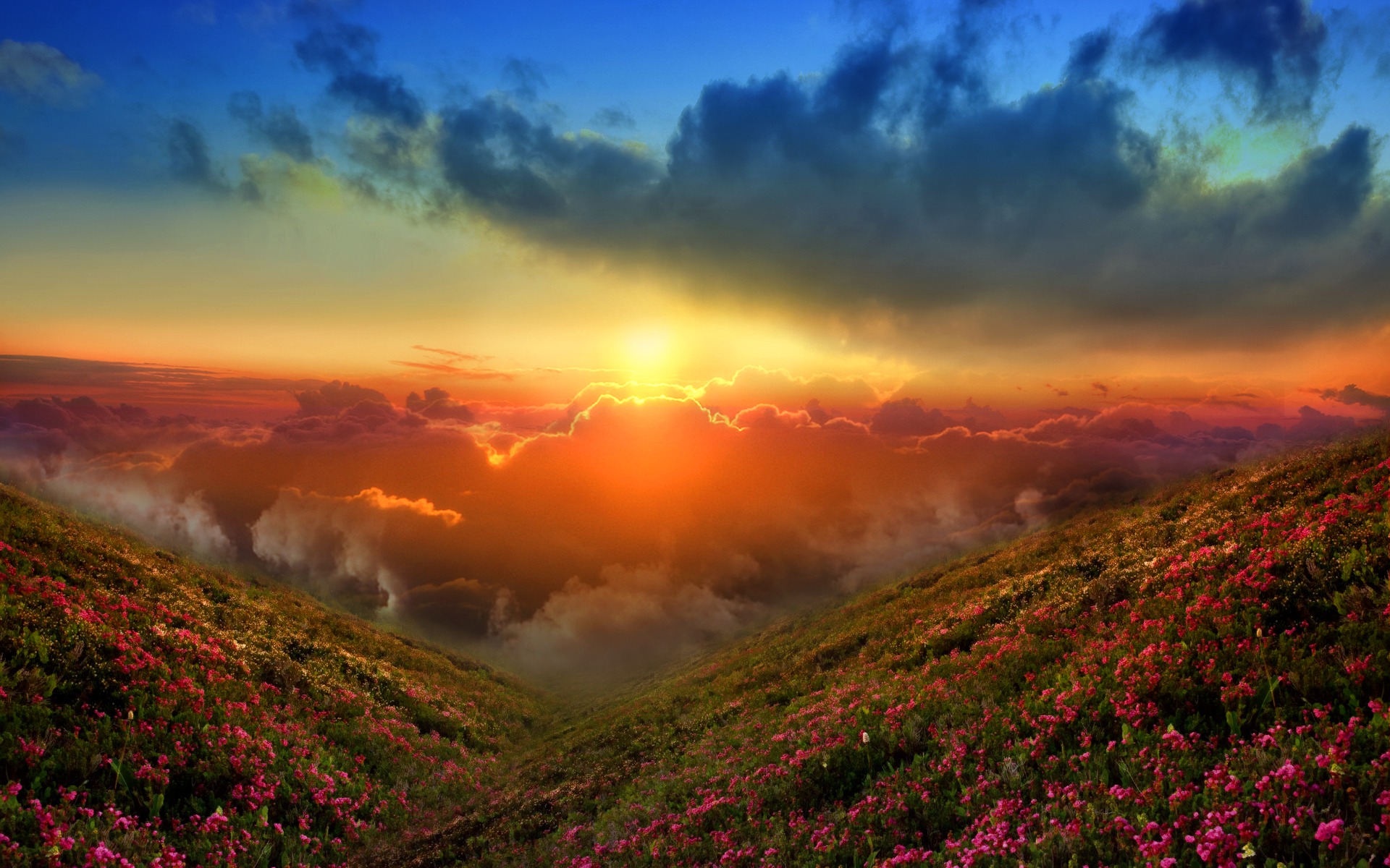 Cloud Flower Nature Panorama Scenery Scenic Sky Sun Sunset 1920x1200