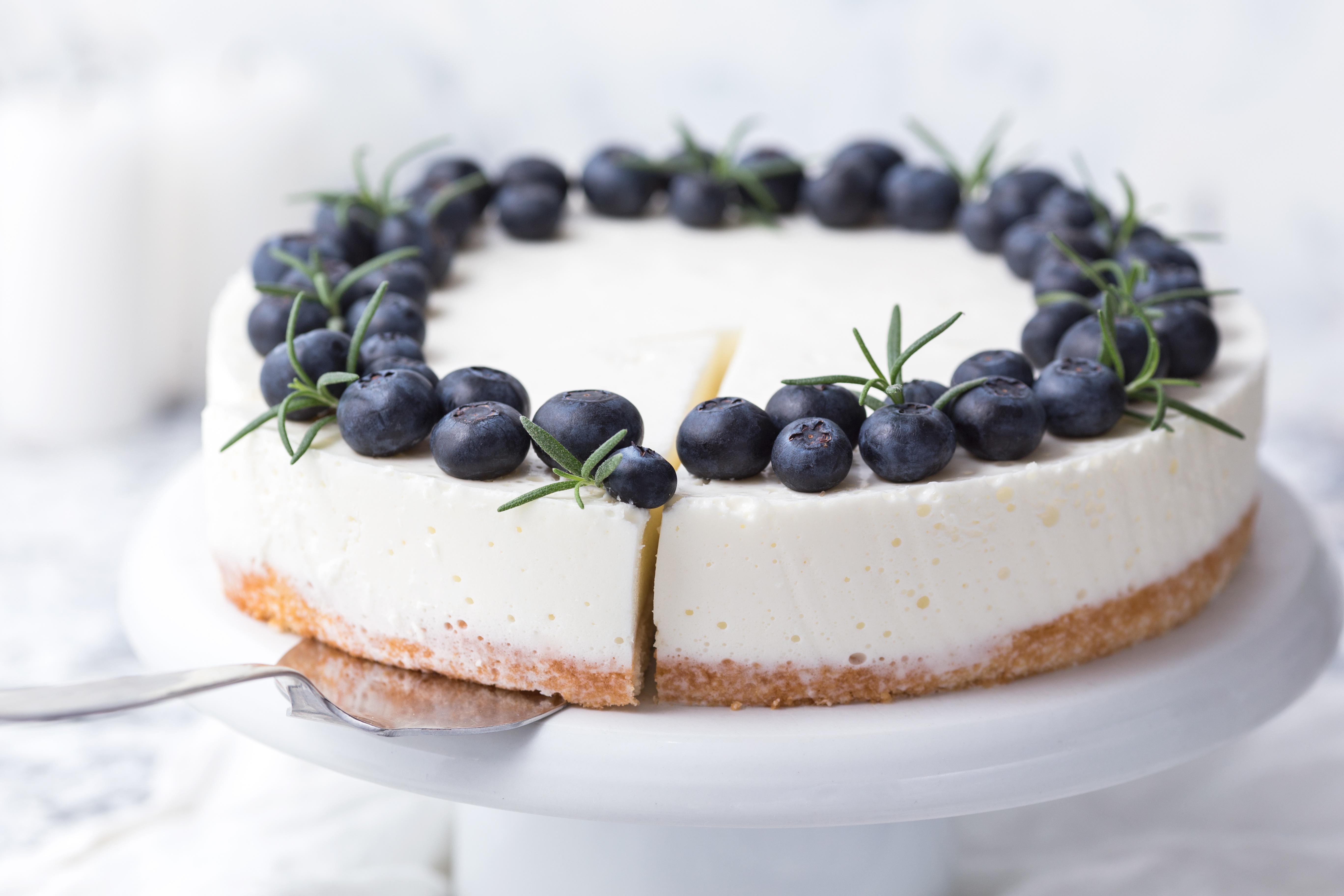 Blueberry Cake Cheesecake Dessert 5472x3648