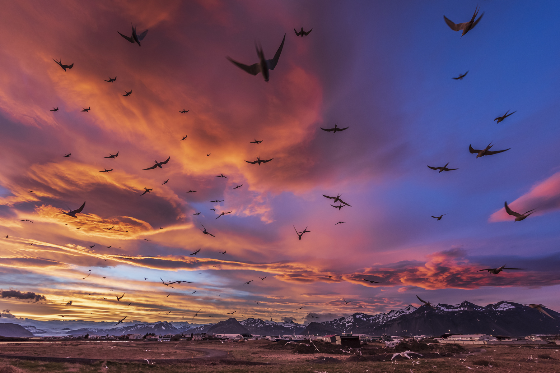 Animals Birds Sunset Photography Iceland Mountains Landscape Sky Clouds Warm Colors Swiercz Jacek 1800x1200