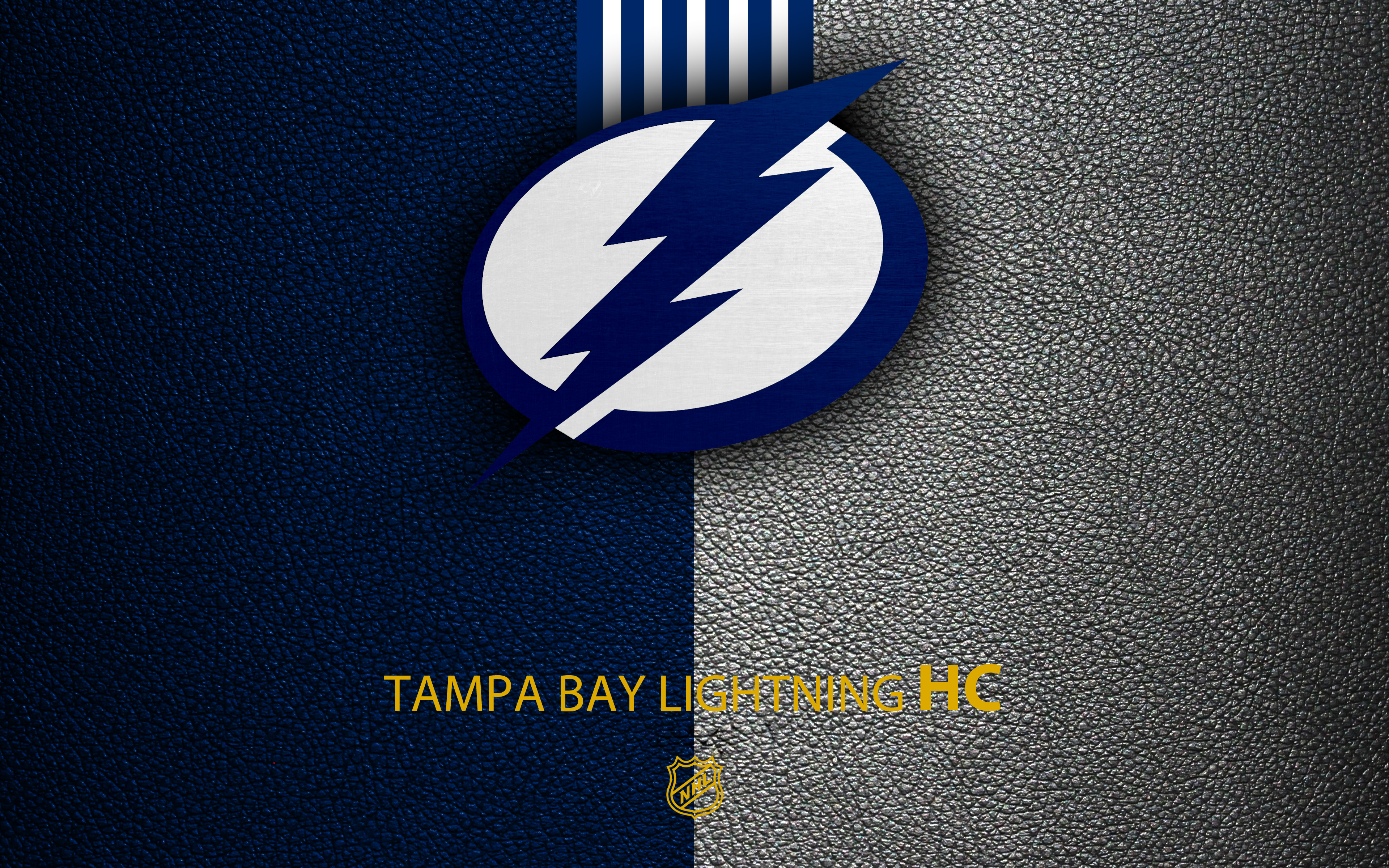 Emblem Logo Nhl Tampa Bay Lightning 3840x2400