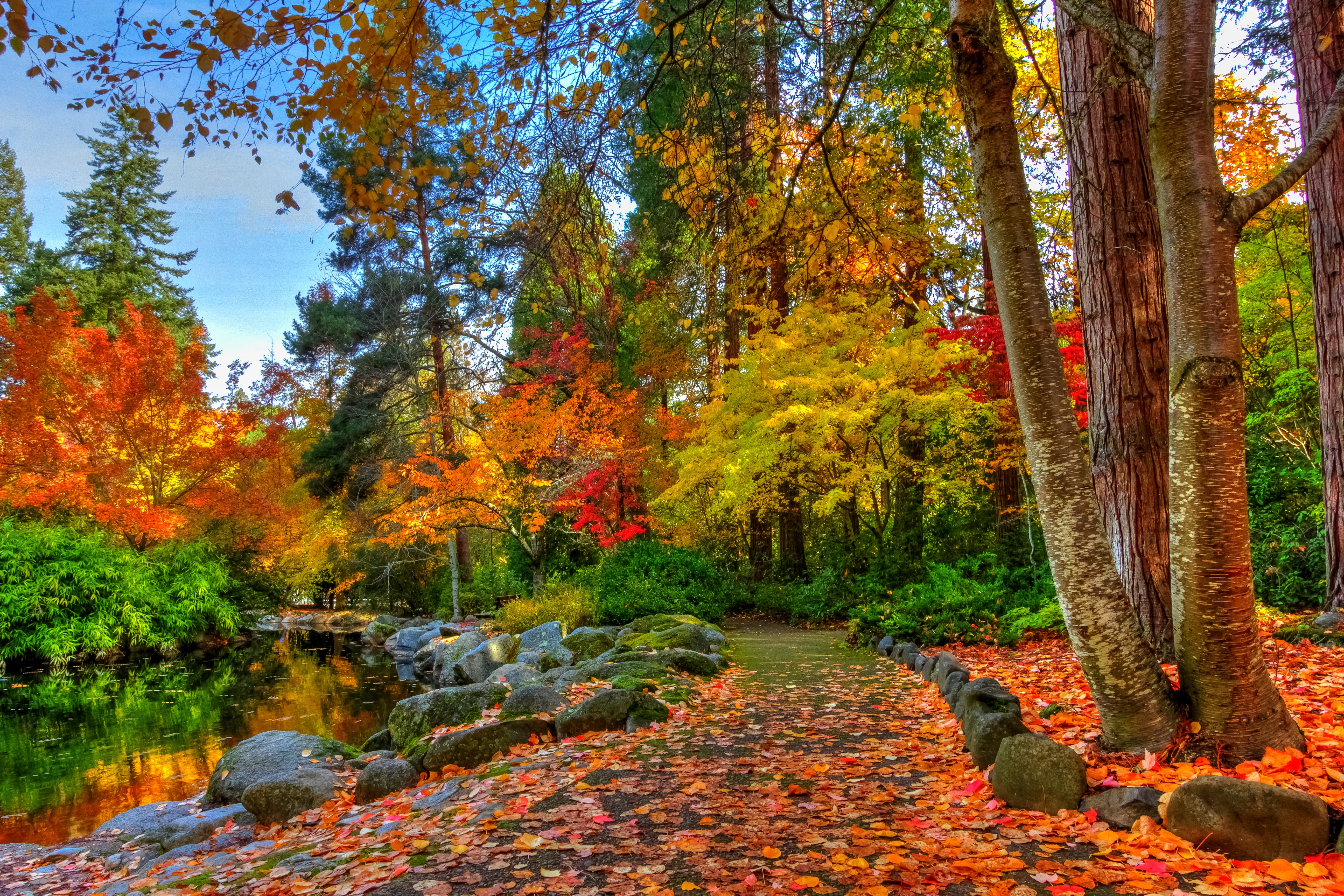 Fall Foliage Park Path Pond Rock Tree 5184x3456