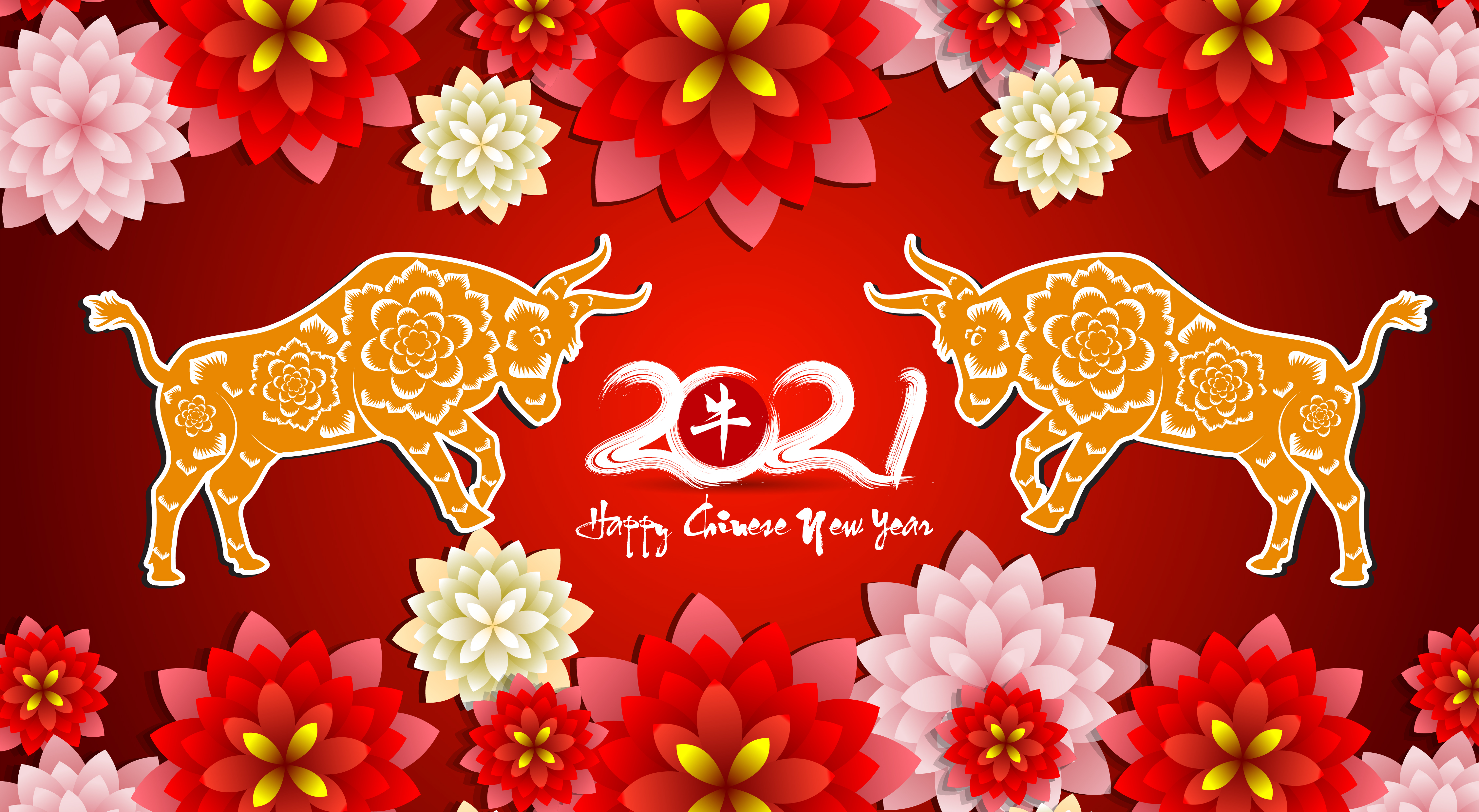 Bull Chinese New Year Flower New Year 2021 4515x2479