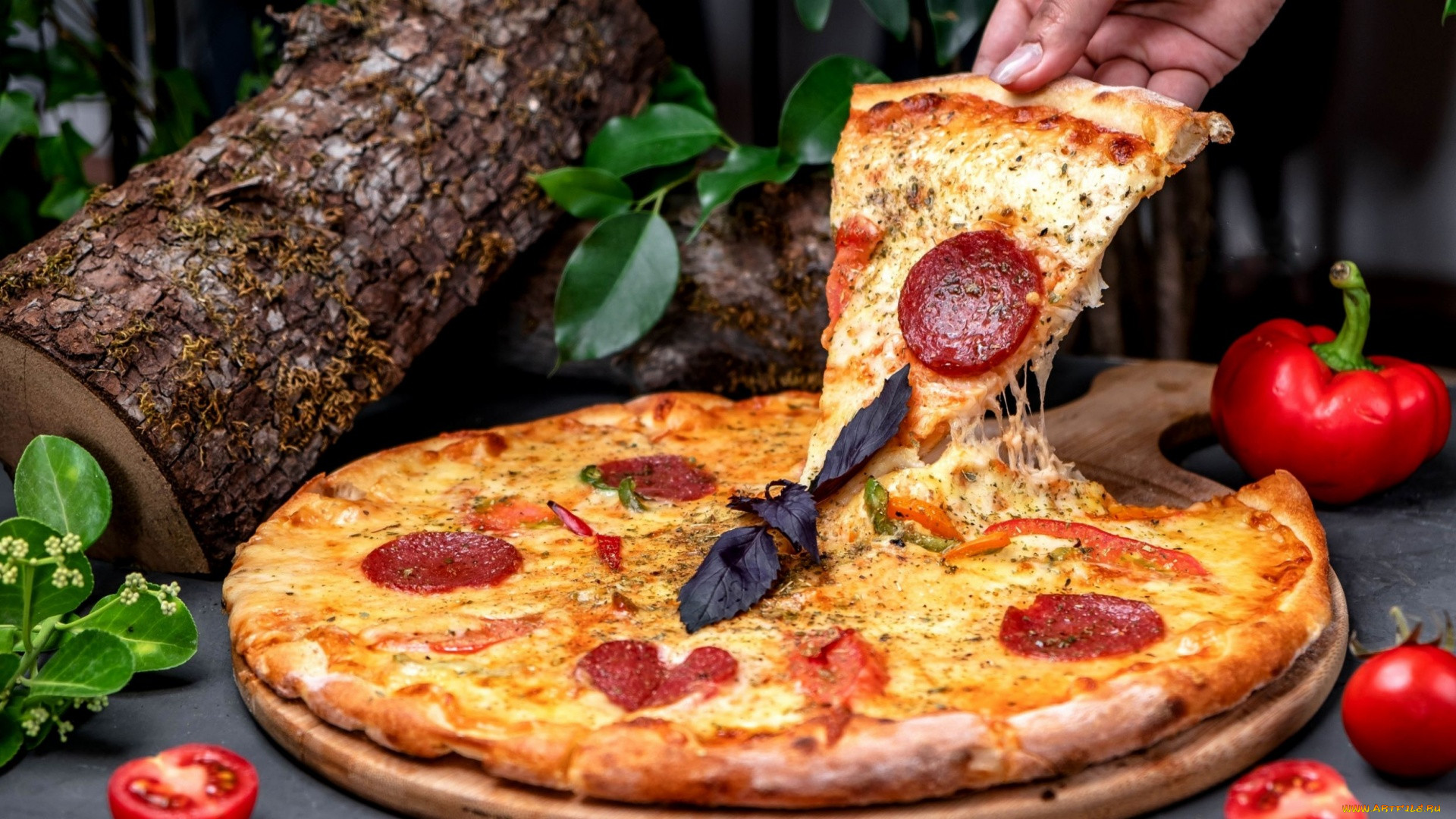 Food Pizza Cheese Tomatoes Wood Leaves Peppers 1920x1080