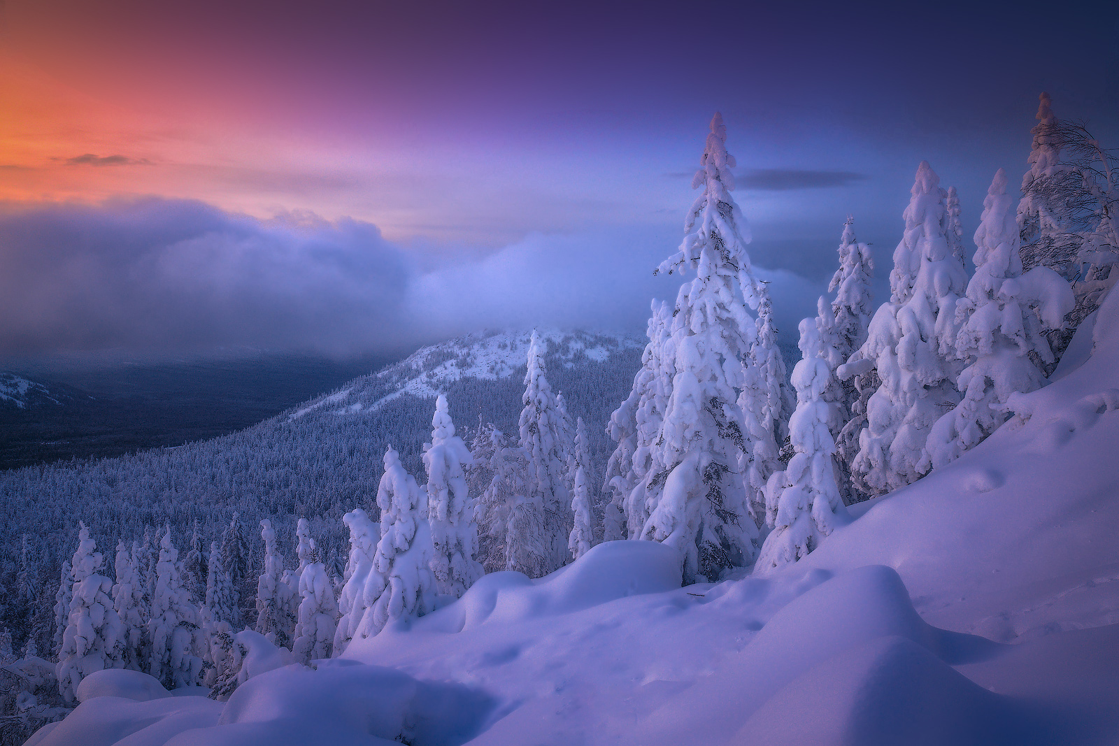 Vladimir Lyapin Landscape Sky Colorful Mist Snow Trees Forest Nature 1600x1067