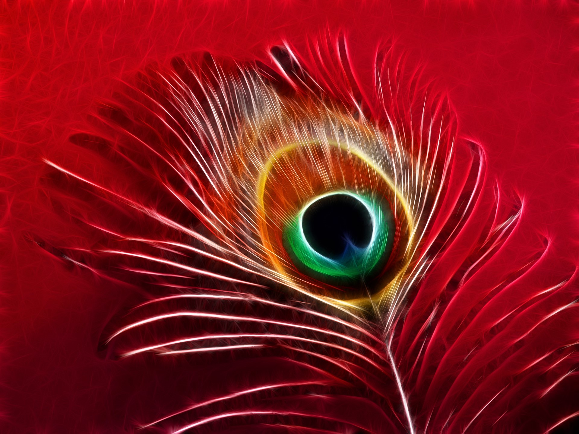 Artistic Colorful Feather Red 1920x1440
