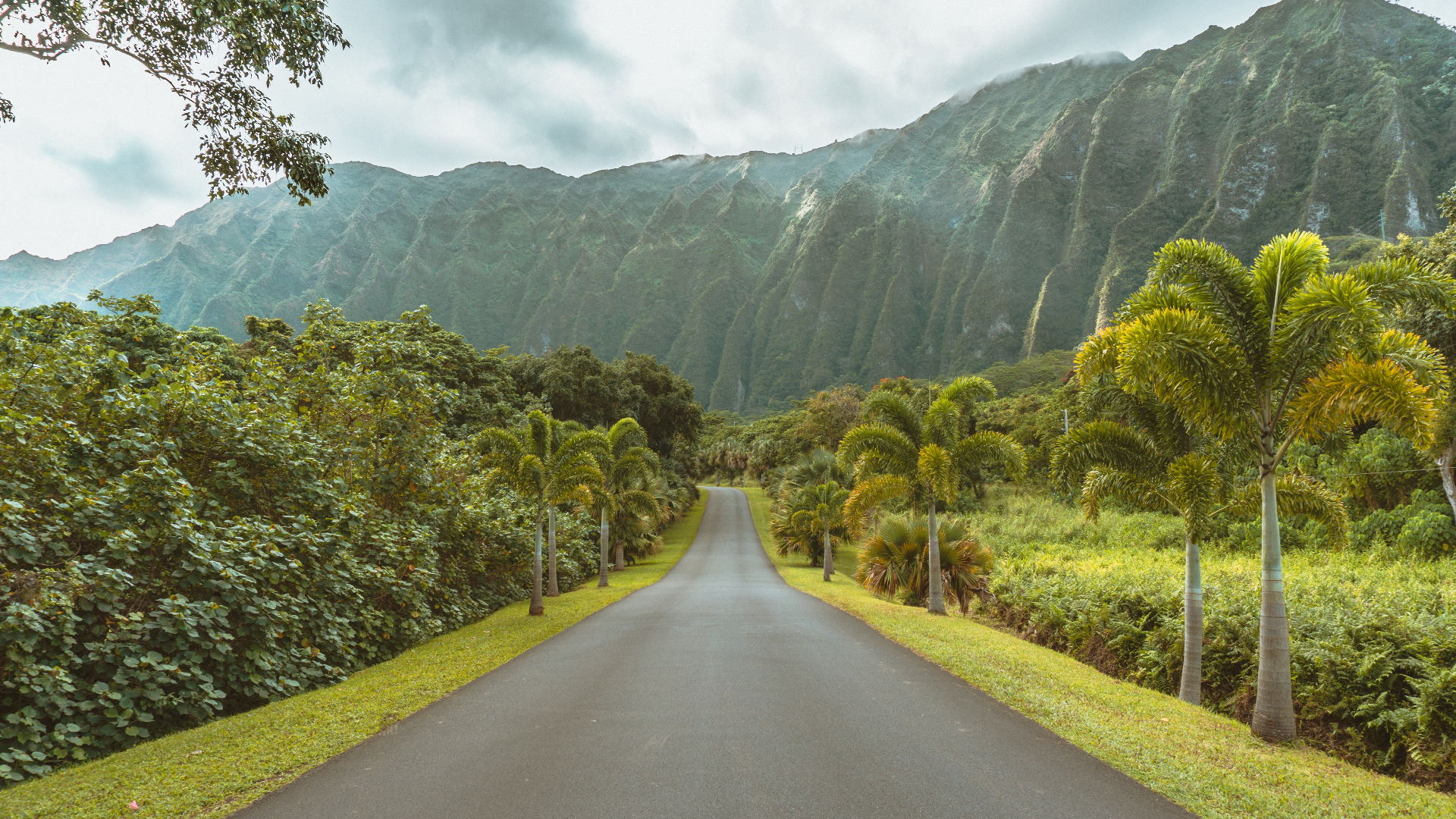 Nature Landscape Road Trees Grass Plants Mountains Clouds Oahu Hawaii 1920x1080