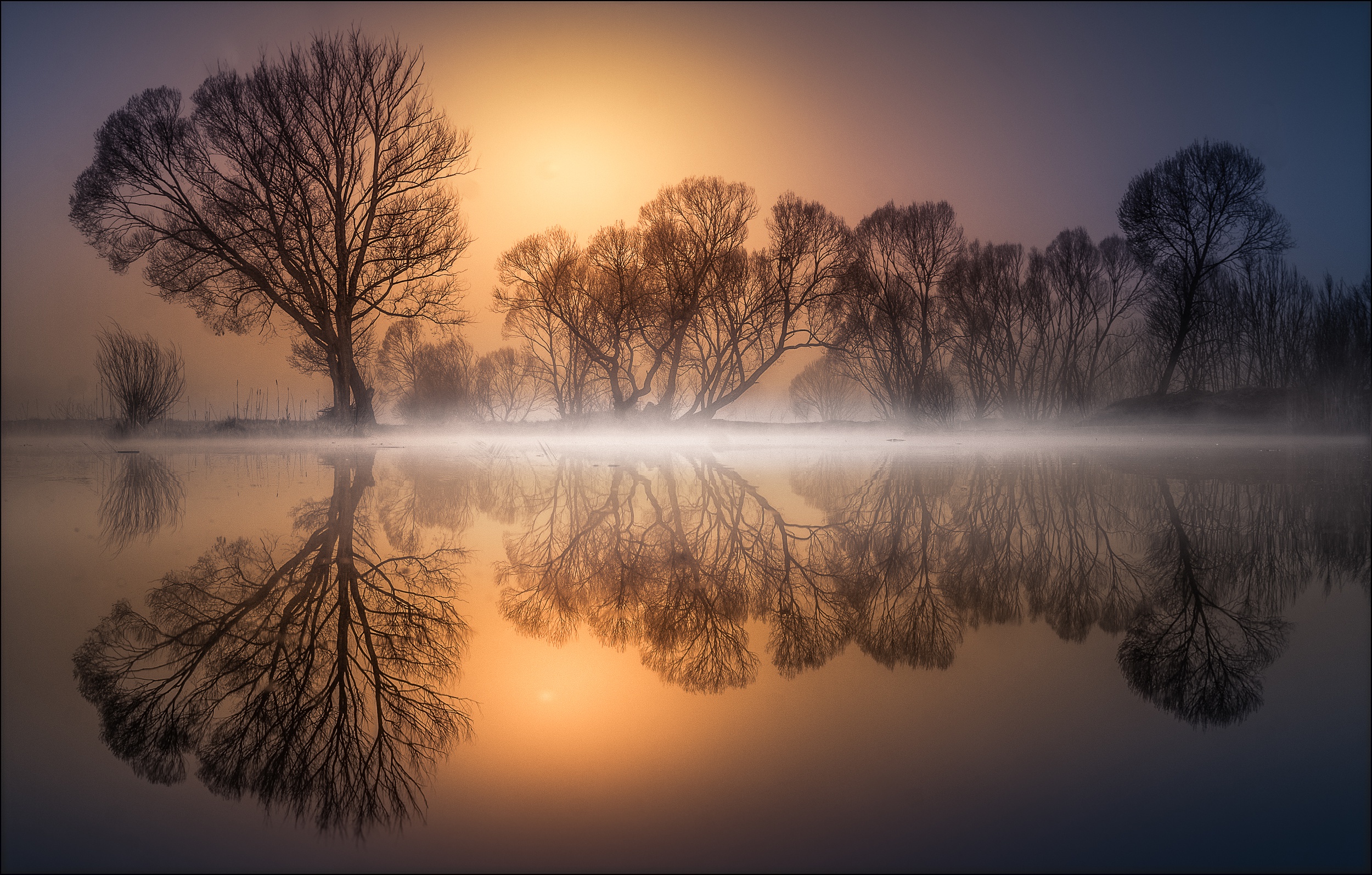 Fog Lake Nature Reflection Sunrise Tree 2500x1594