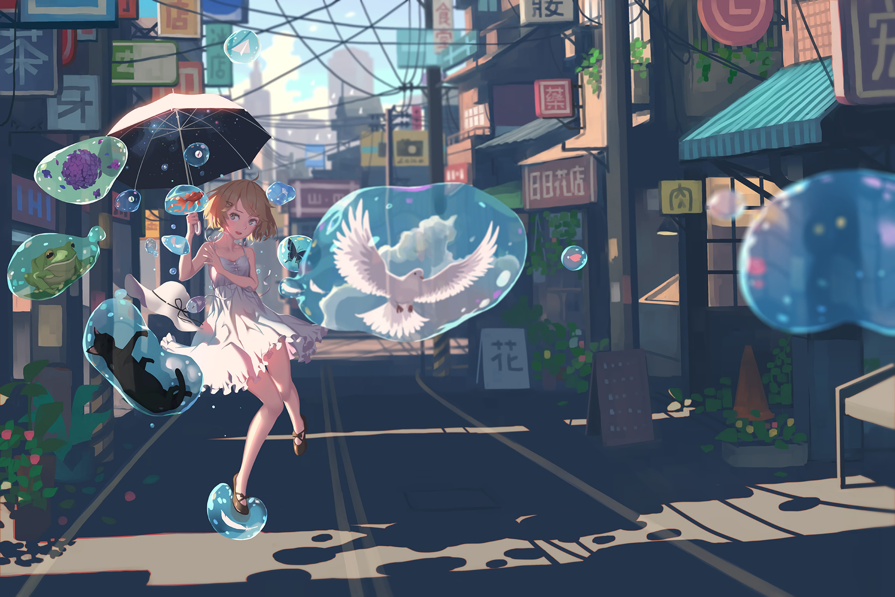 Anime Anime Girls Umbrella Pigeons Black Cats Butterfly Hat Frog Water Drops Sunlight Flowers Petals 1800x1200