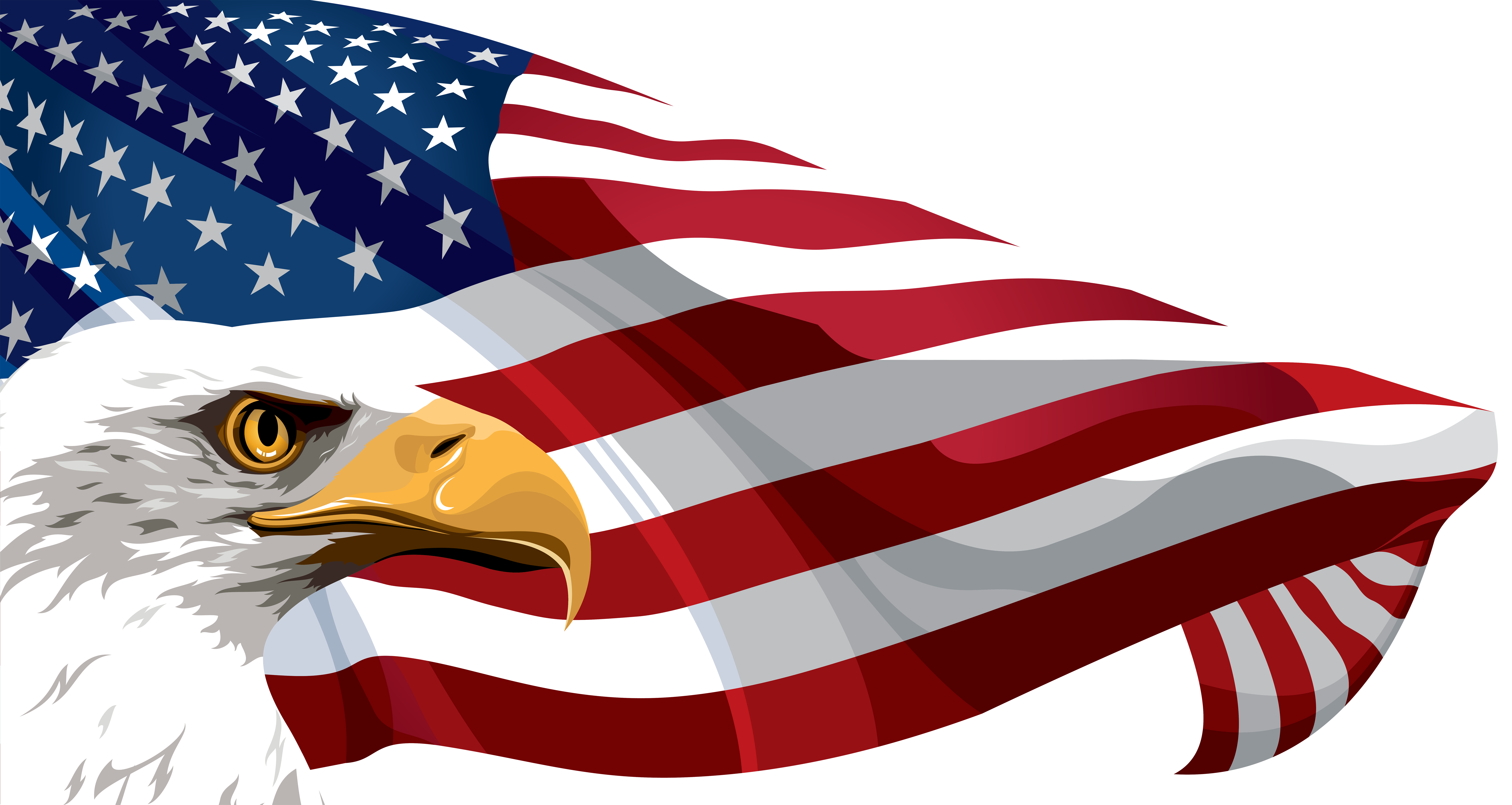 American Flag Eagle Flag 8000x4259