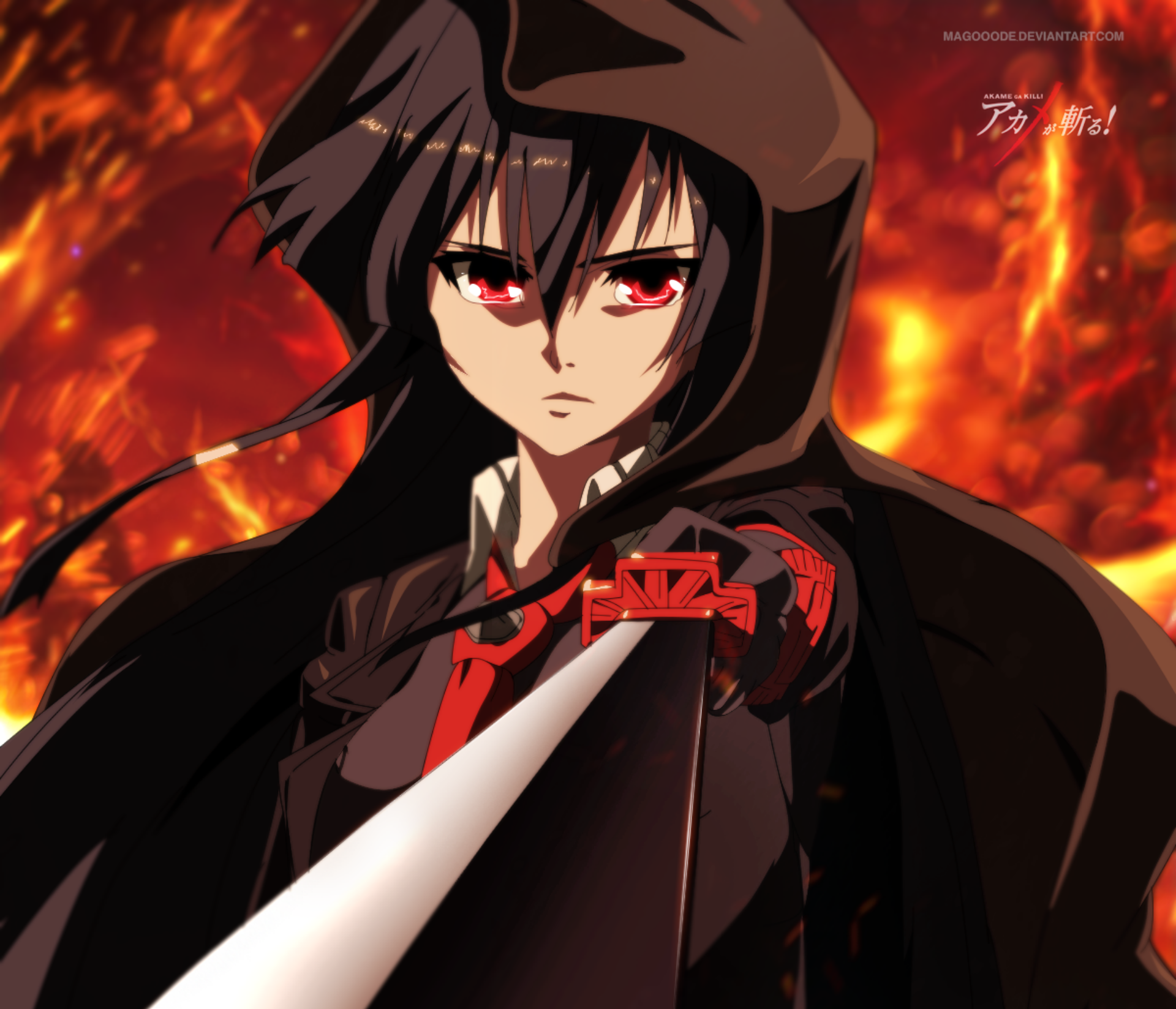 Akame Akame Ga Kill 1920x1648