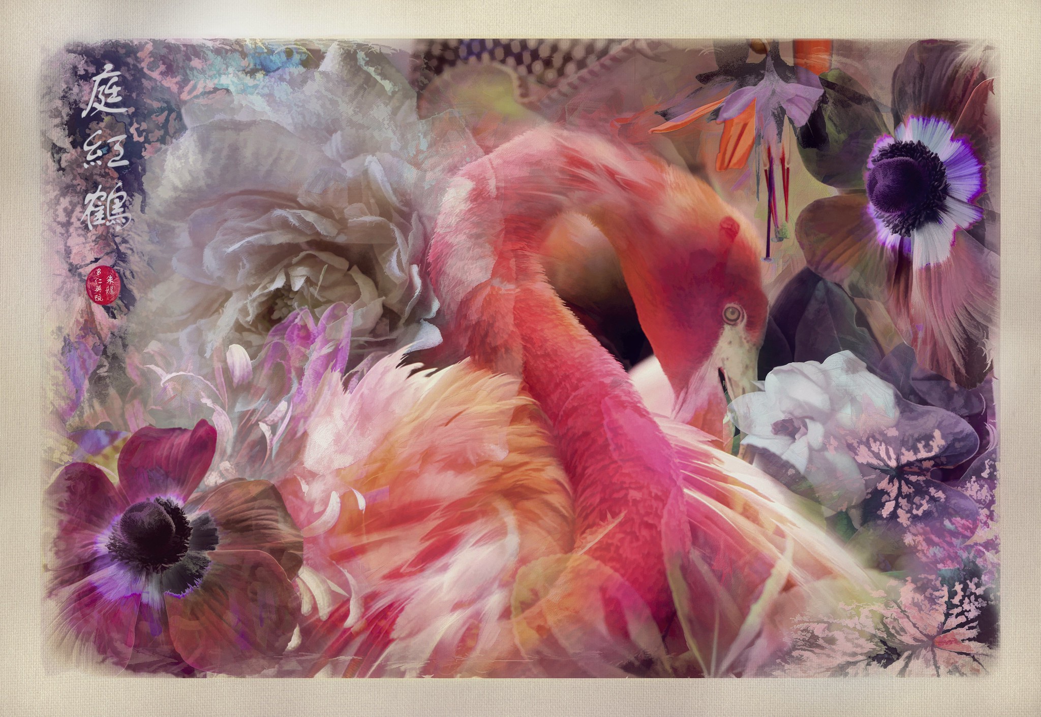 Flamingo 2048x1412
