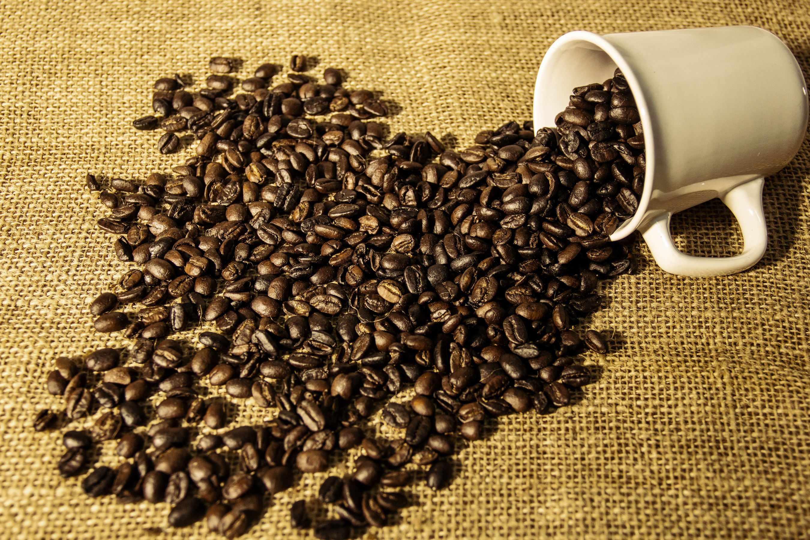Coffee Beans Cup 2700x1800