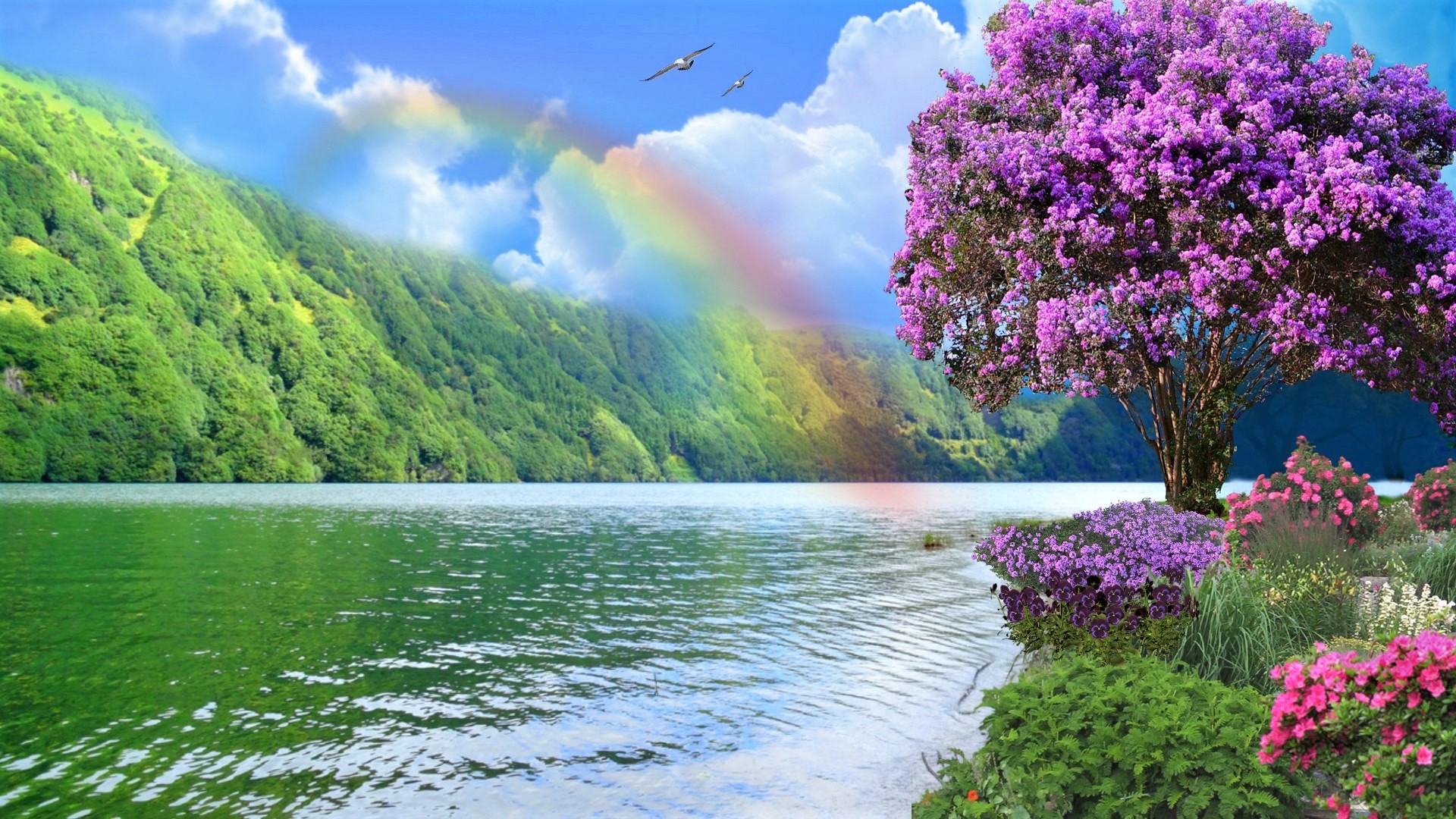 HD desktop wallpaper Sky Rainbow Dark Forest Tree Fall Earth Cloud  download free picture 741694