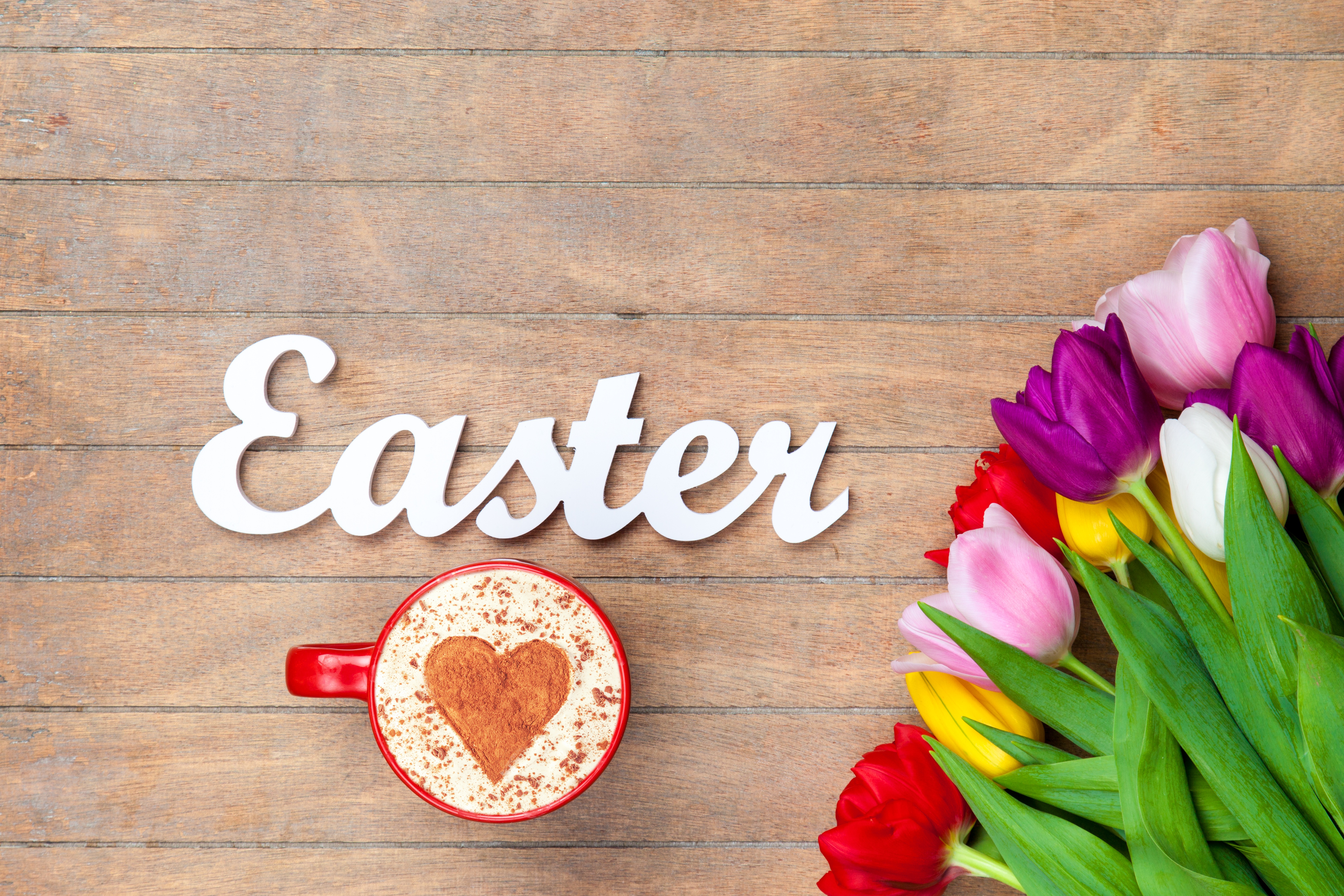 Coffee Cup Drink Easter Flower Tulip 5616x3744