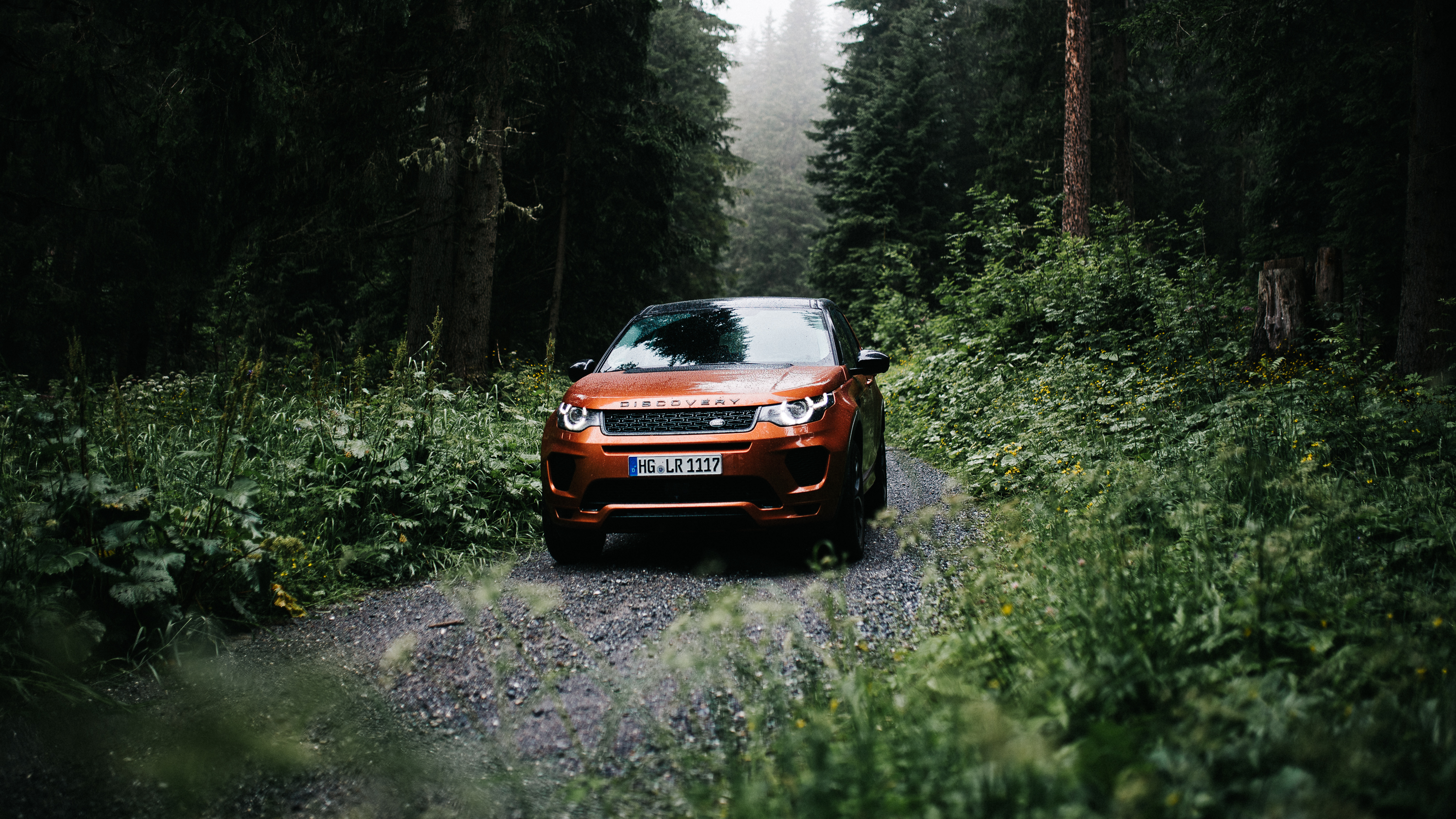 Vehicle Land Rover Car Landscape Forest Tree Bark Road Trees 3000x1687