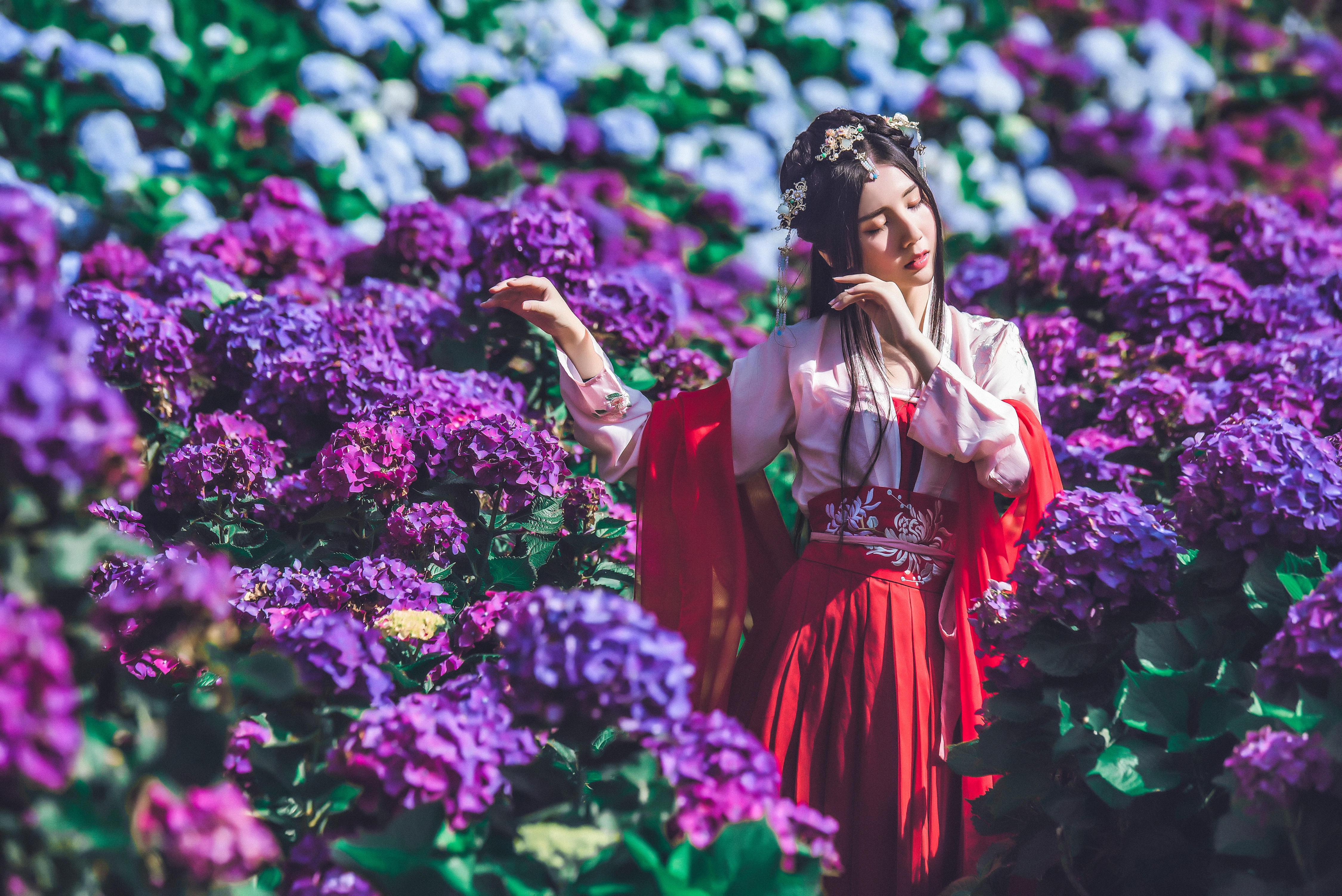 Asian Black Hair Flower Girl Hydrangea Mood Purple Flower Woman 4500x3004