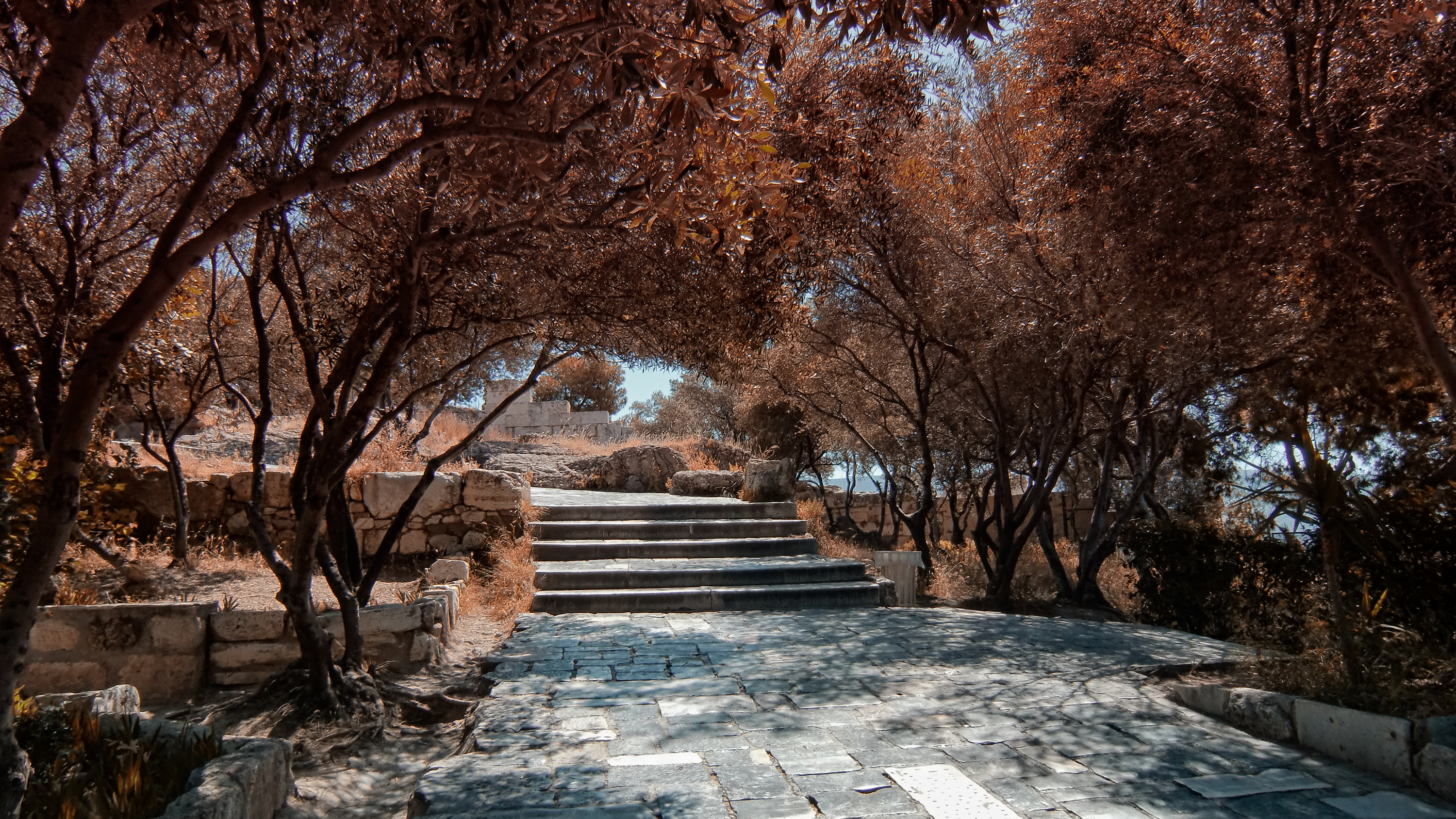 Trees Stairway Fall Outdoors Plants 3000x1688