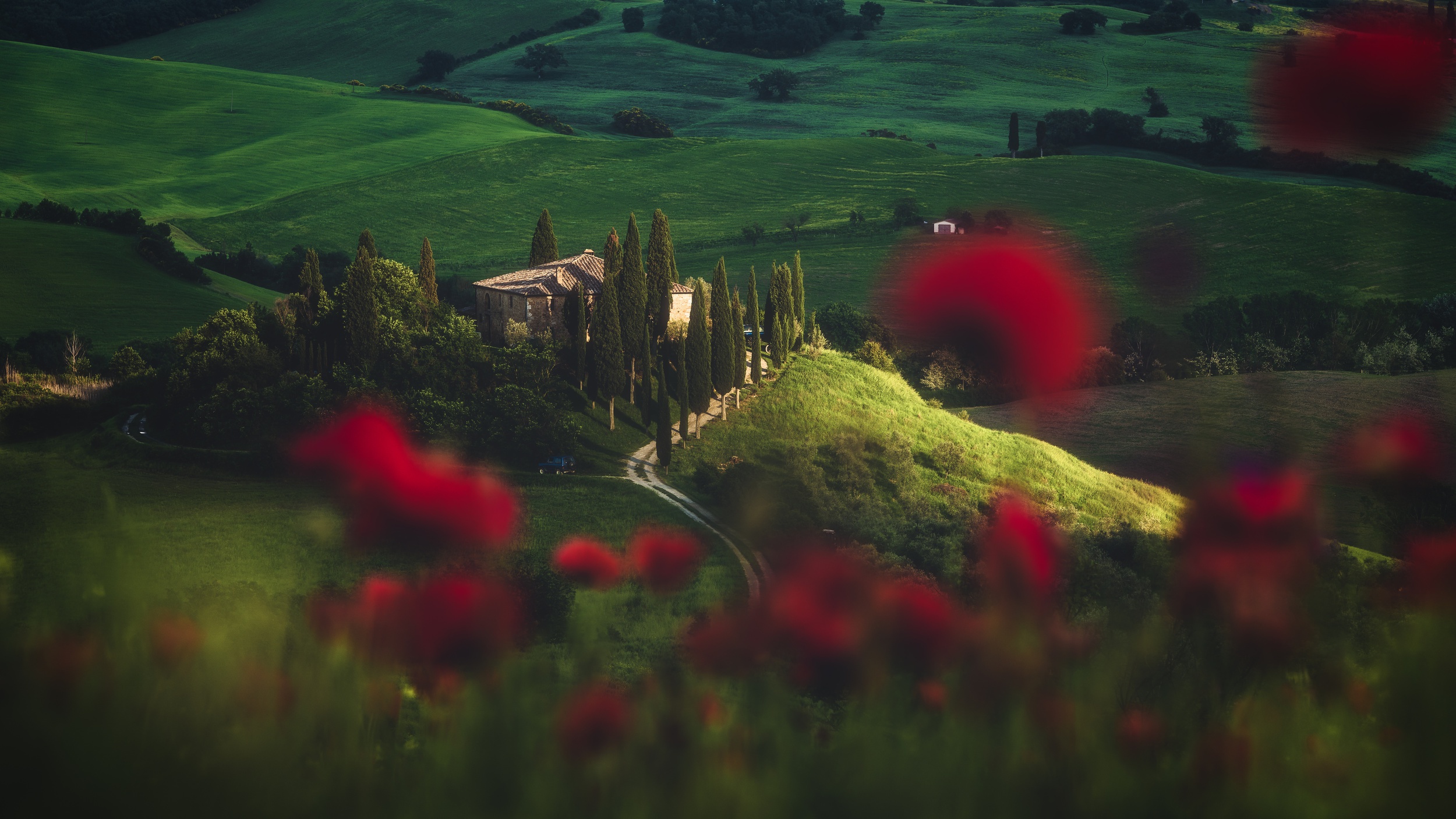 Italy Landscape Poppy Tuscany 2500x1406