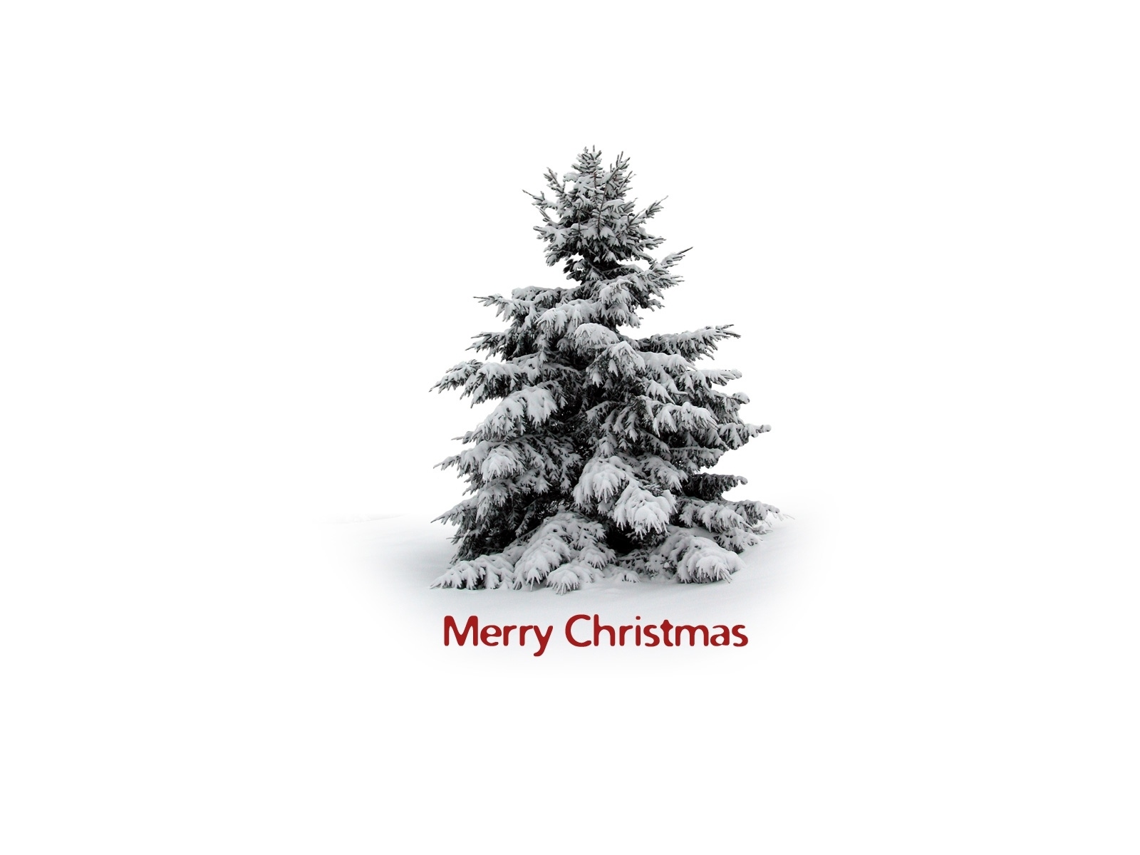 Christmas Merry Christmas Minimalist Snow Tree White 1600x1200