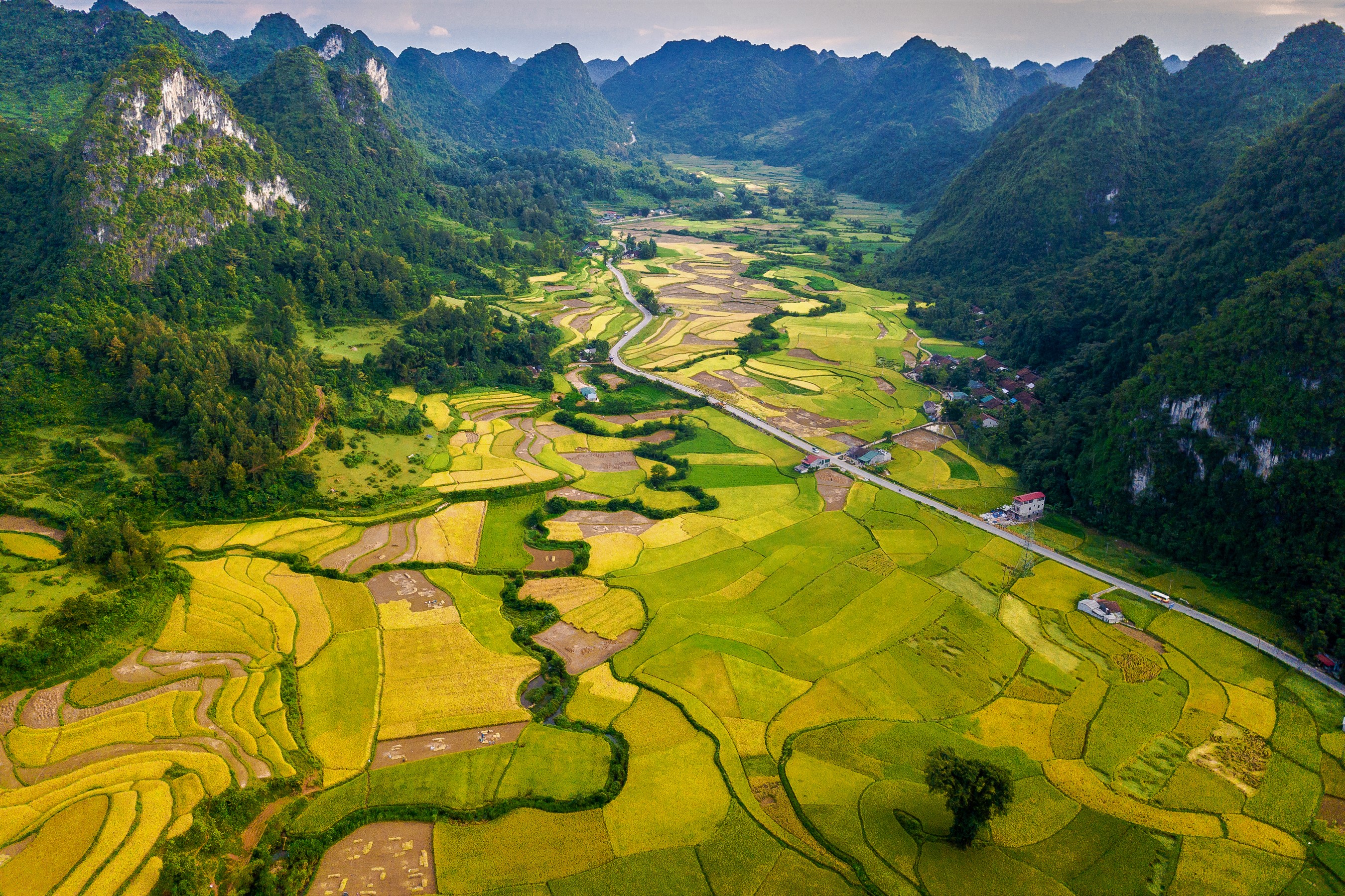 Field Landscape Mountain Valley Vietnam 2700x1800