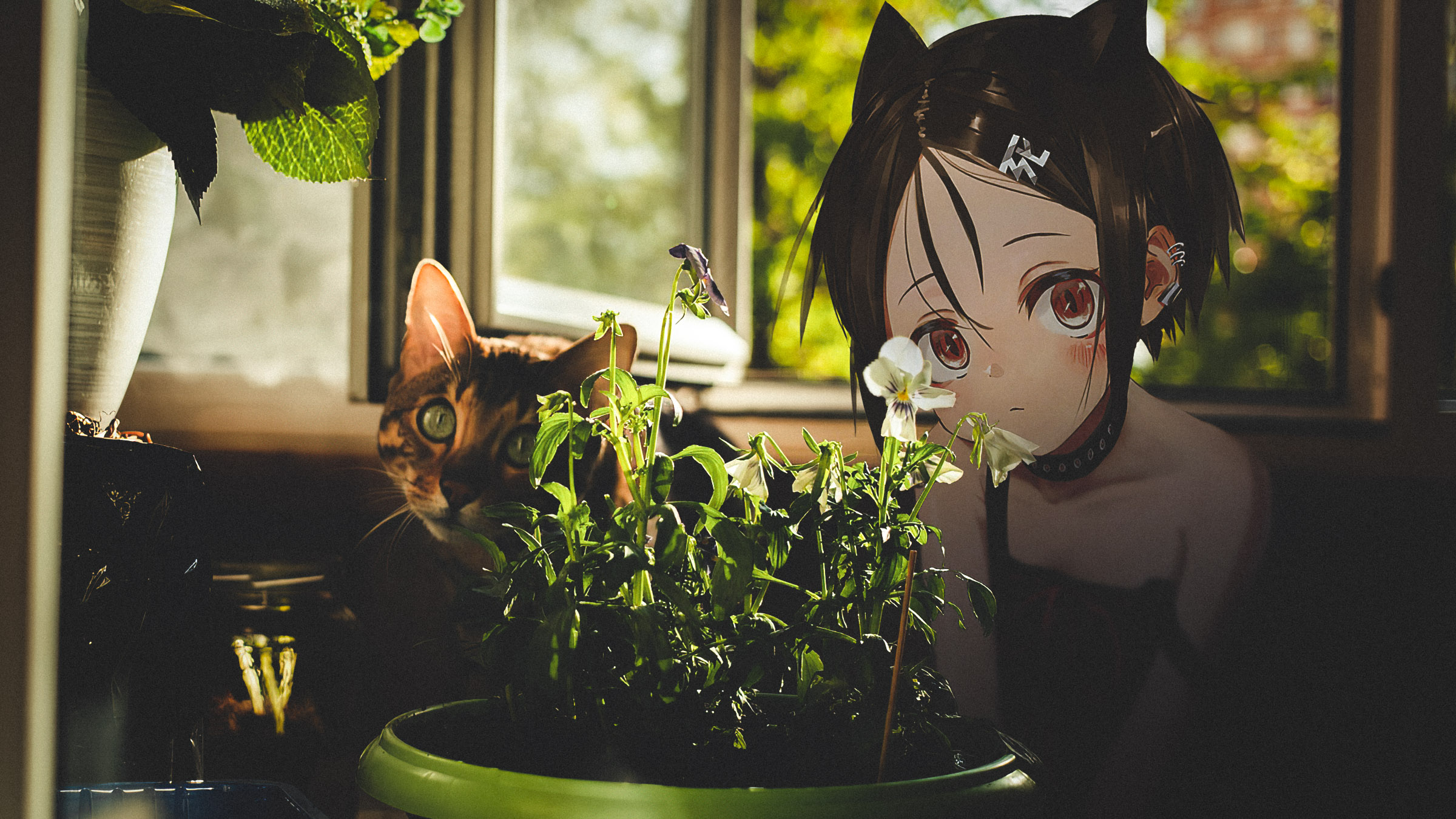 Anime Anime Irl Collage Plant Pot By The Window Cats Looking At Viewer Cat Girl 2400x1350