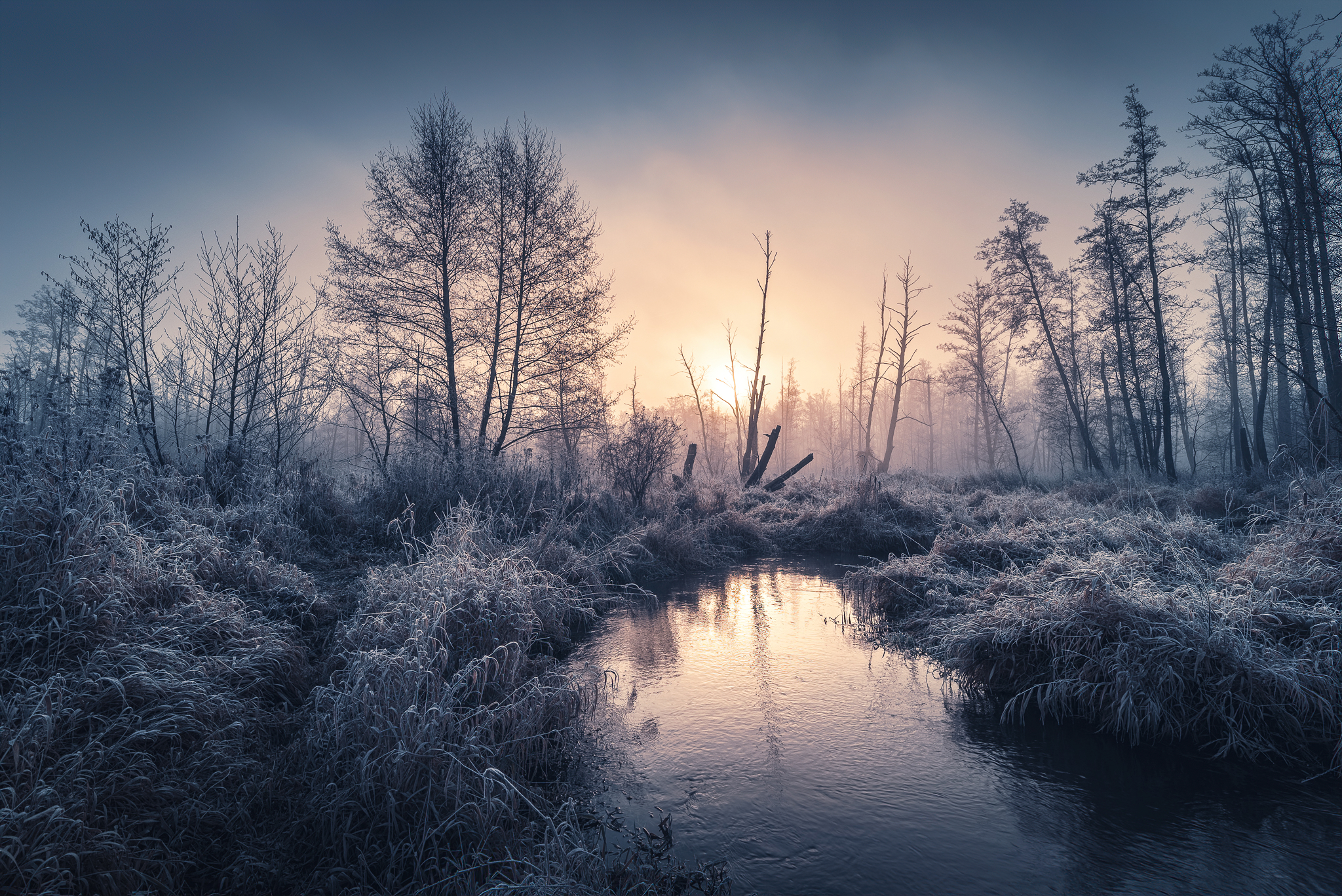 Winter Frost Water Sun Sunlight Mist Landscape Cold Trees Nature Micha Tomczak Forest River 2048x1367