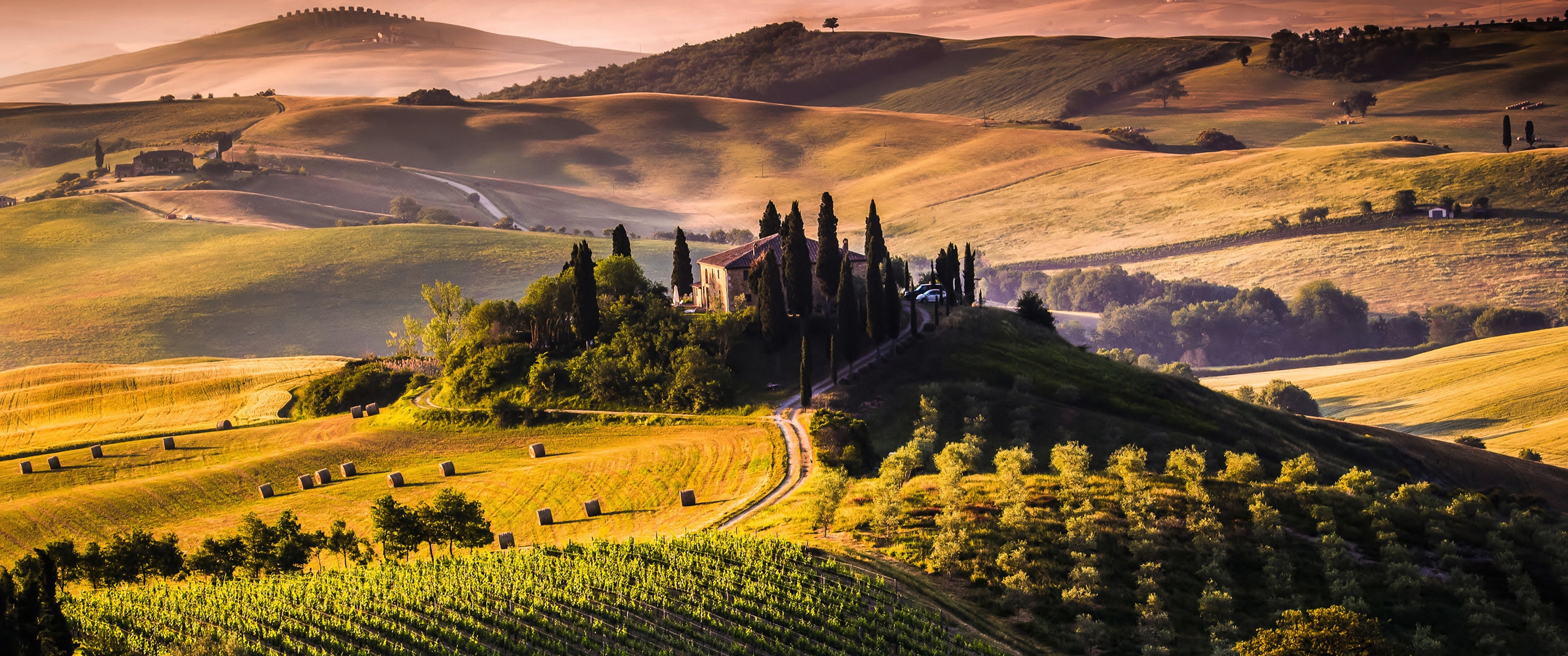 Landscape Tuscany Italy Vineyard Field 3440x1440
